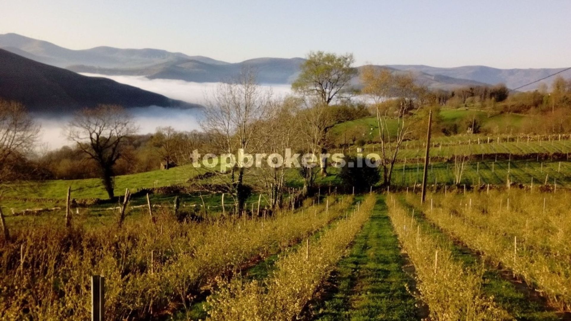 casa en Vega de Pas, Cantabria 11538827