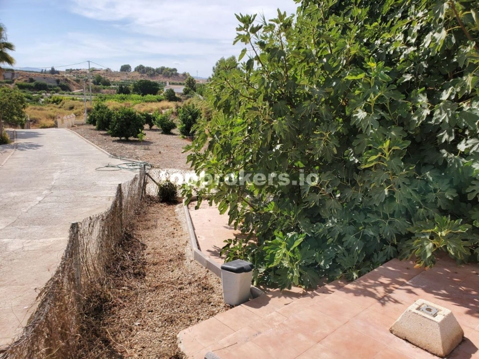 Rumah di Mula, Región de Murcia 11539000