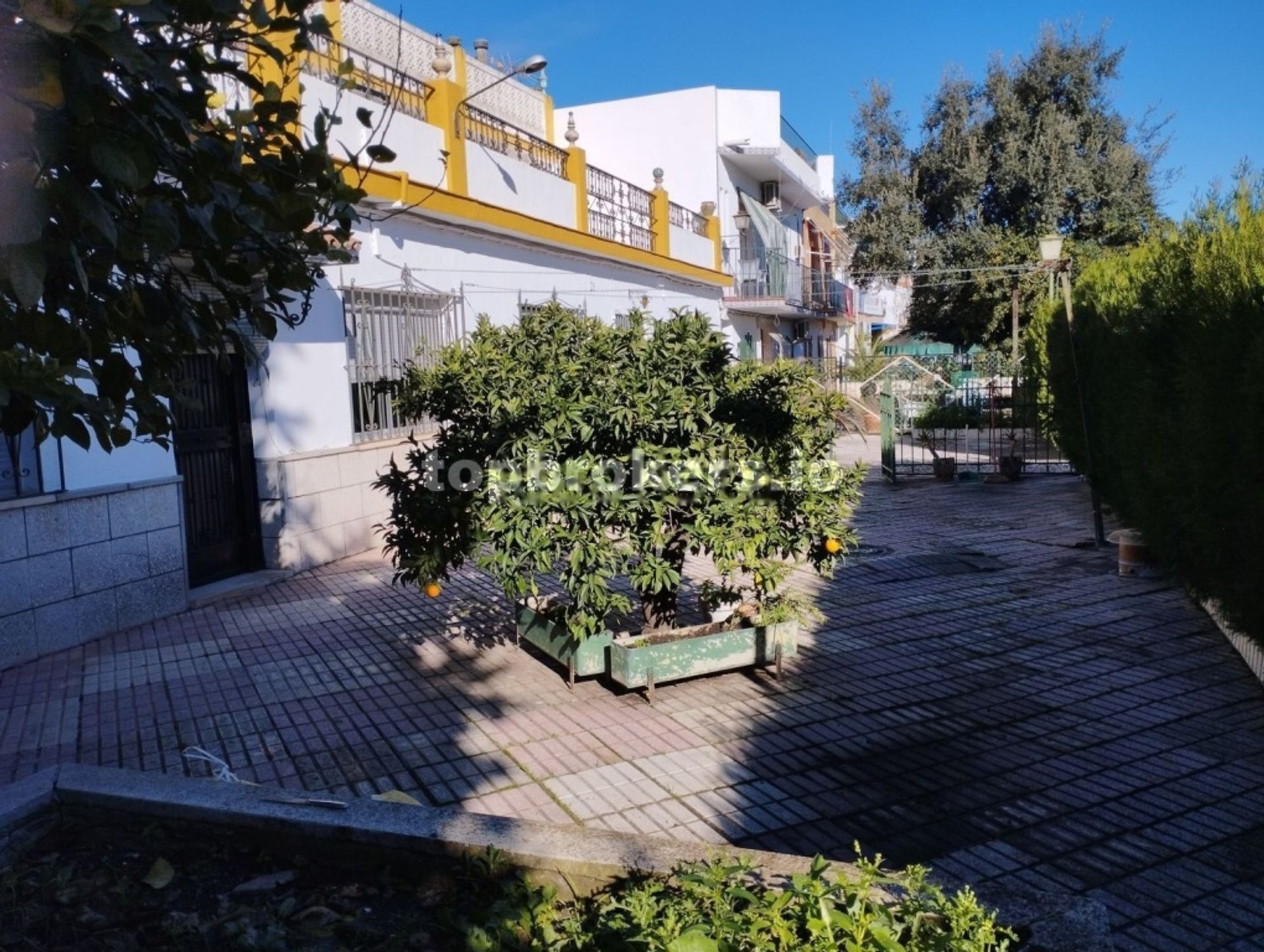 casa no Alcalá del Río, Andalucía 11539080