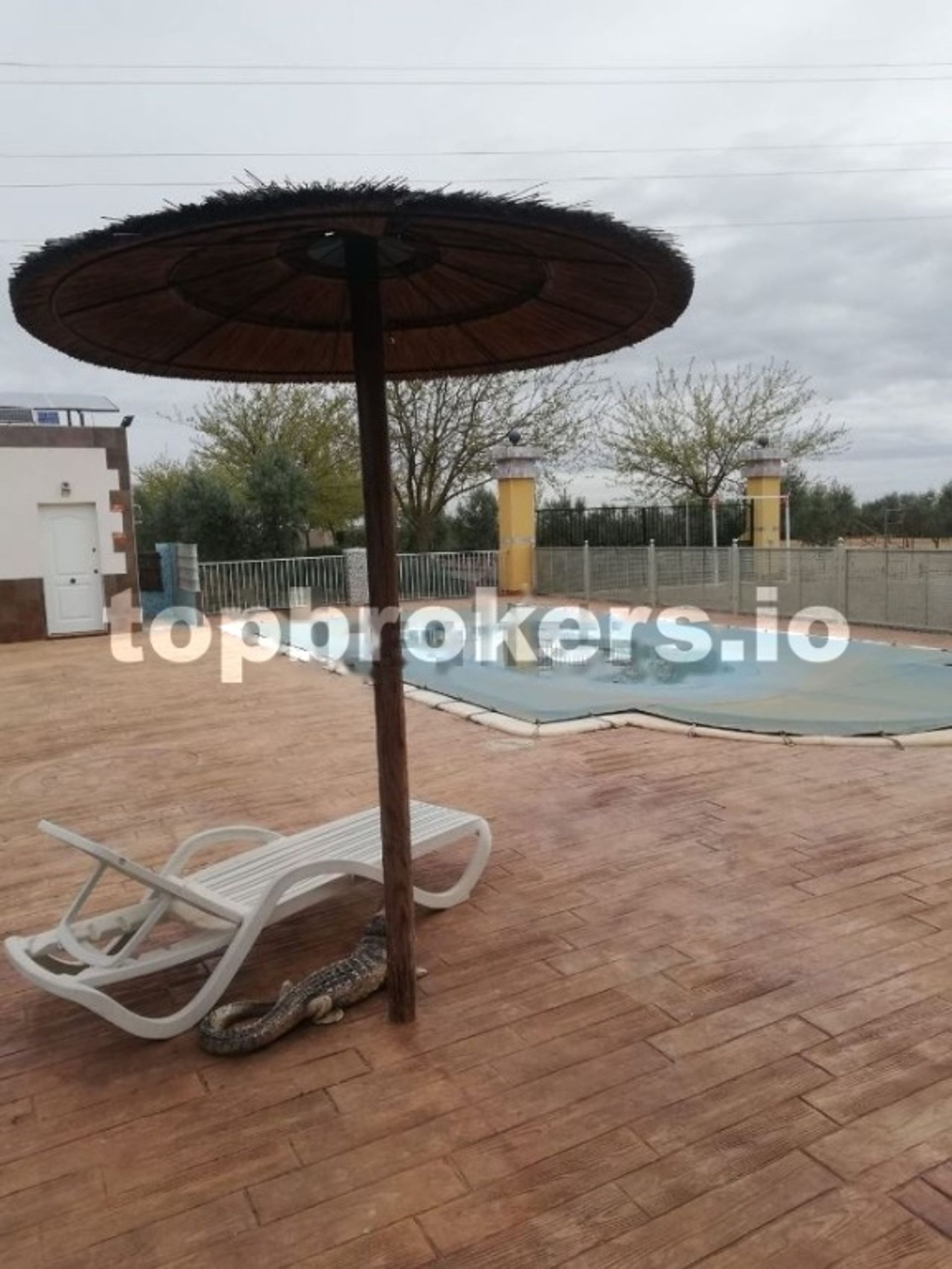 Hus i Daimiel, Castilla-La Mancha 11539112