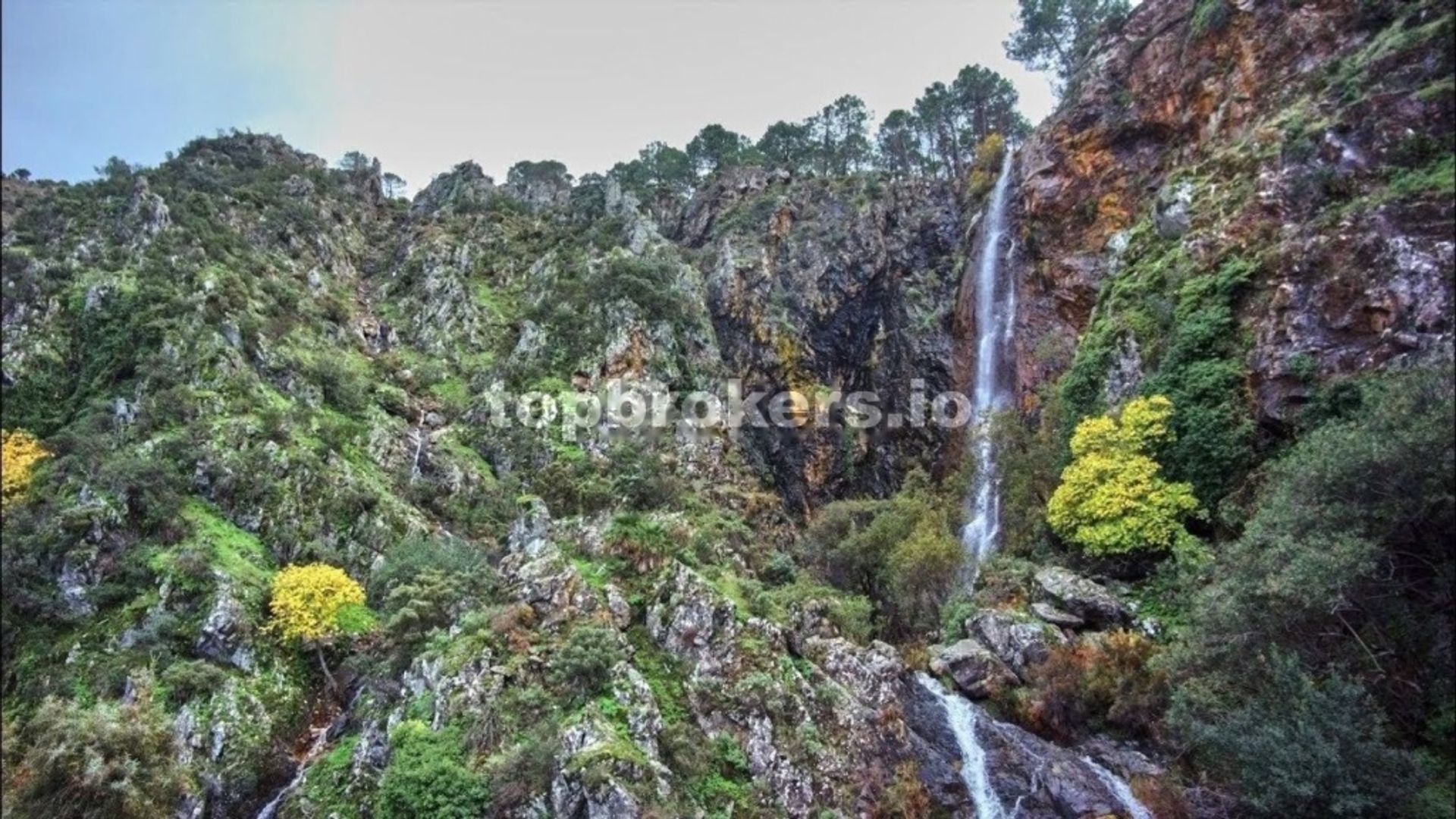 rumah dalam Tolox, Andalucía 11539125