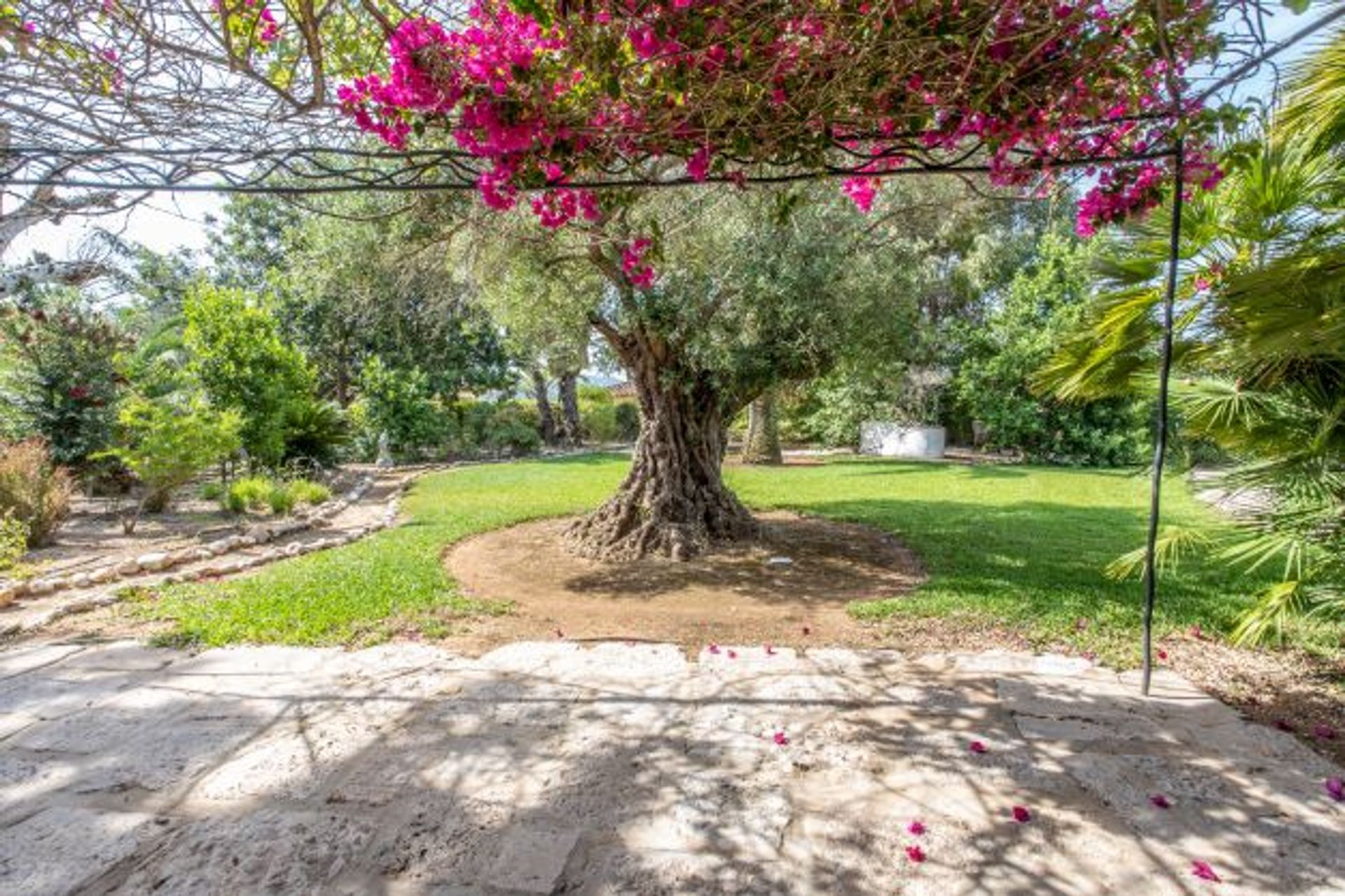 casa no Xàbia, Comunidad Valenciana 11539452