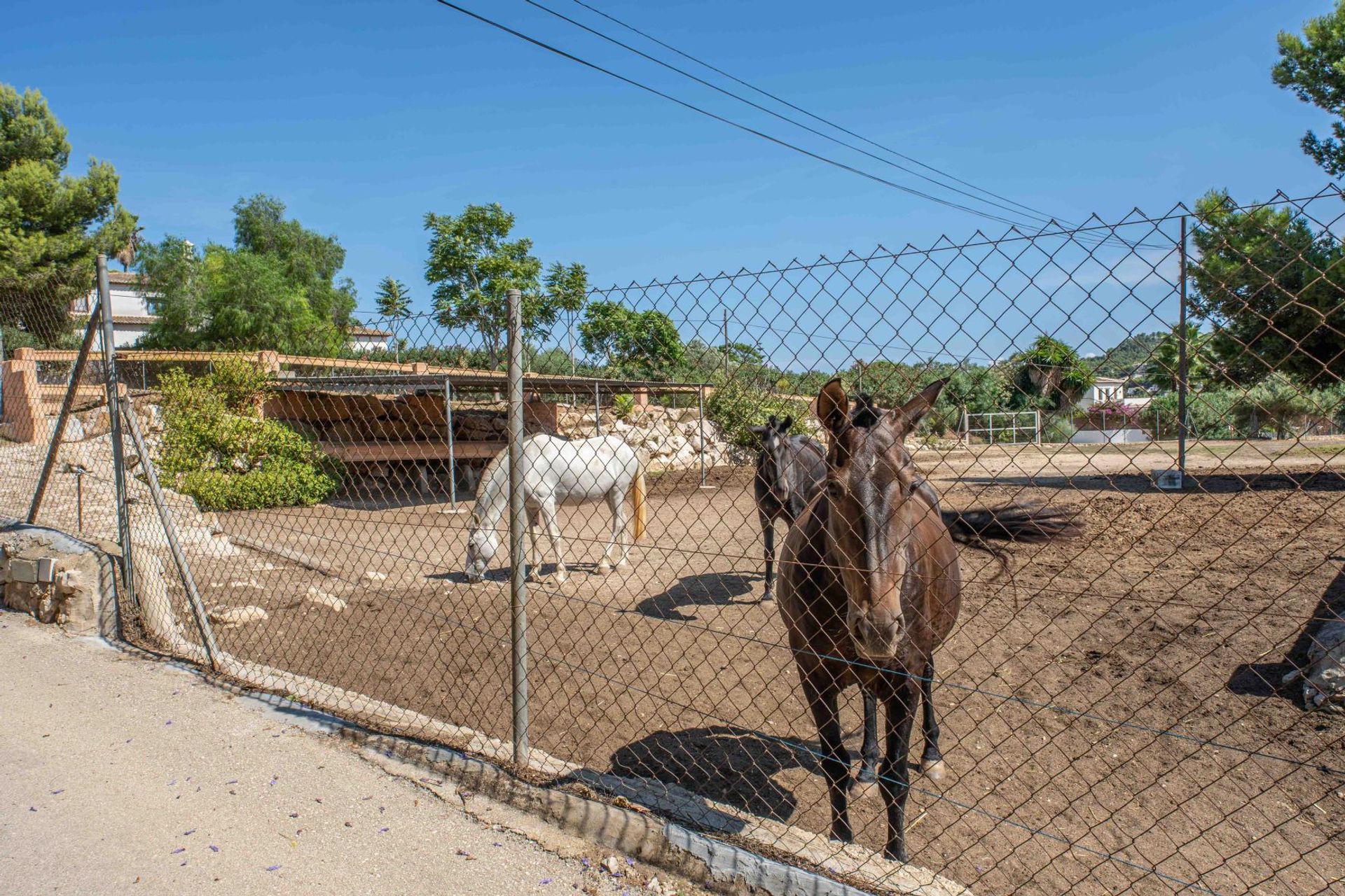 Будинок в Xàbia, Comunidad Valenciana 11539481