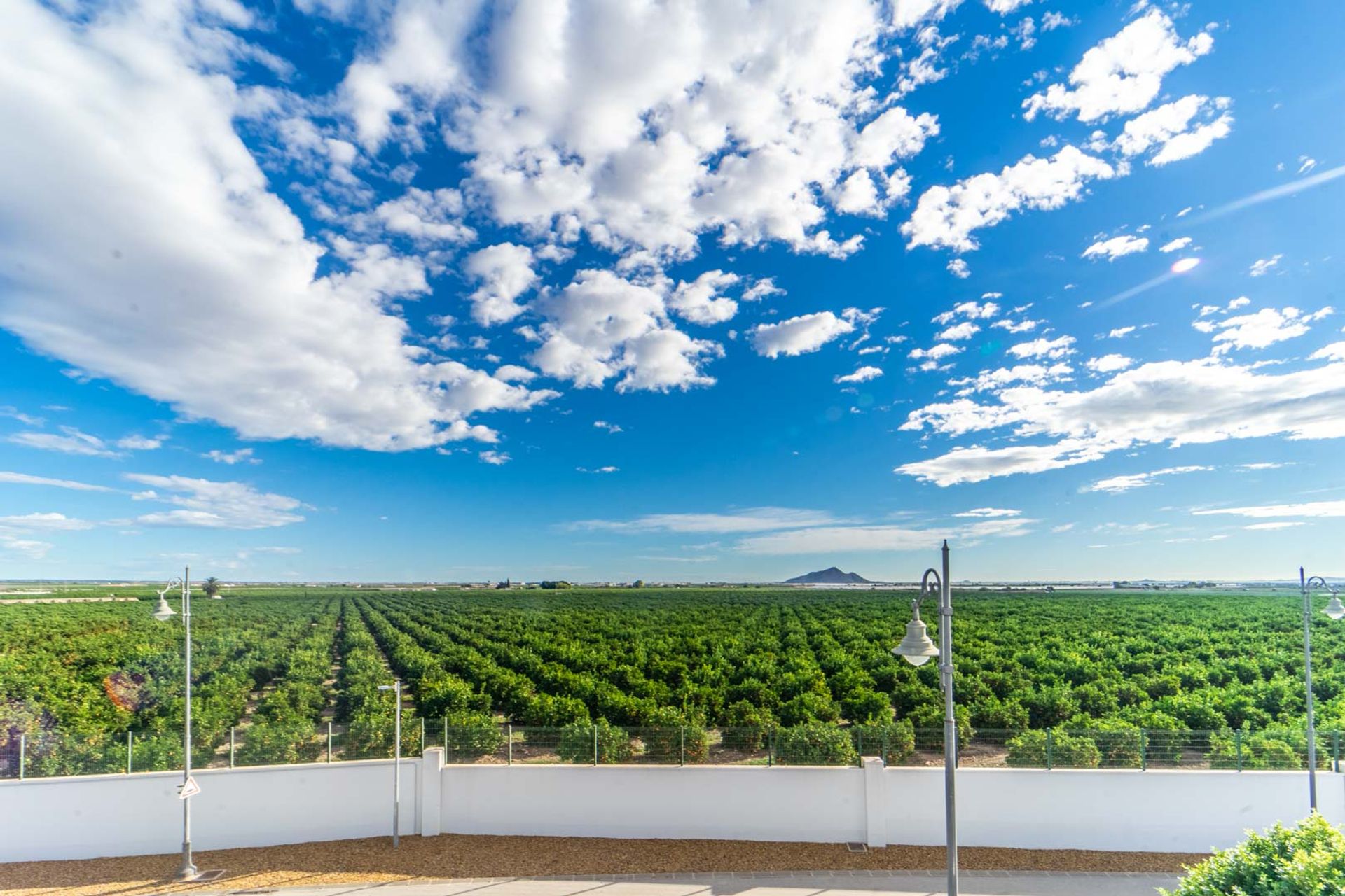 rumah dalam Torre-Pacheco, Región de Murcia 11539687