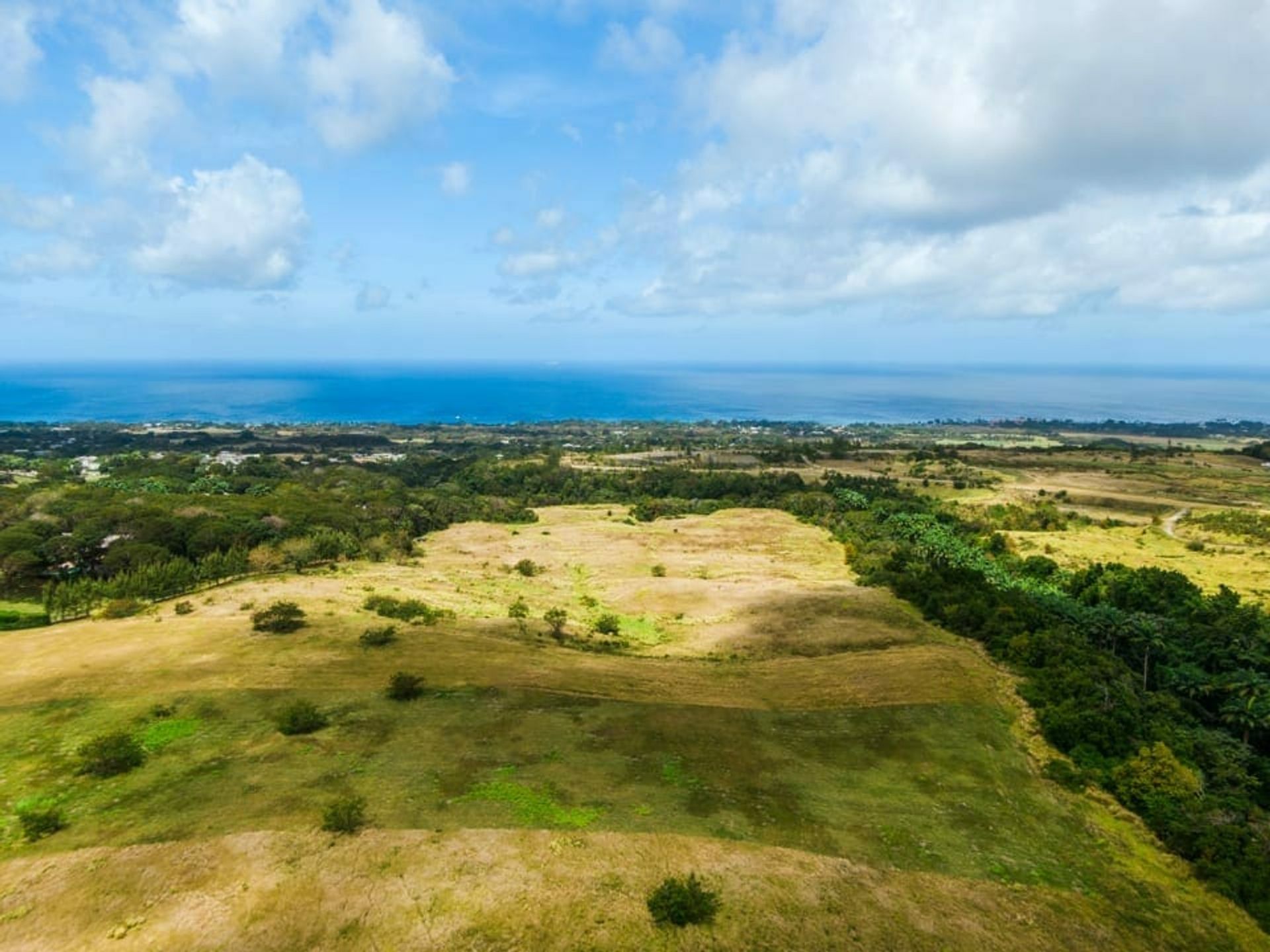 Industriel dans Bridgetown, Saint Michael 11539768