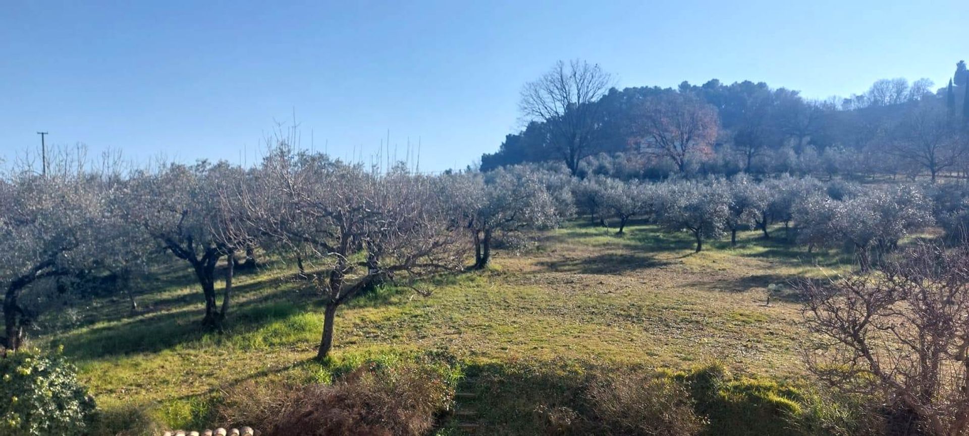 casa no Cannara, Umbria 11540169