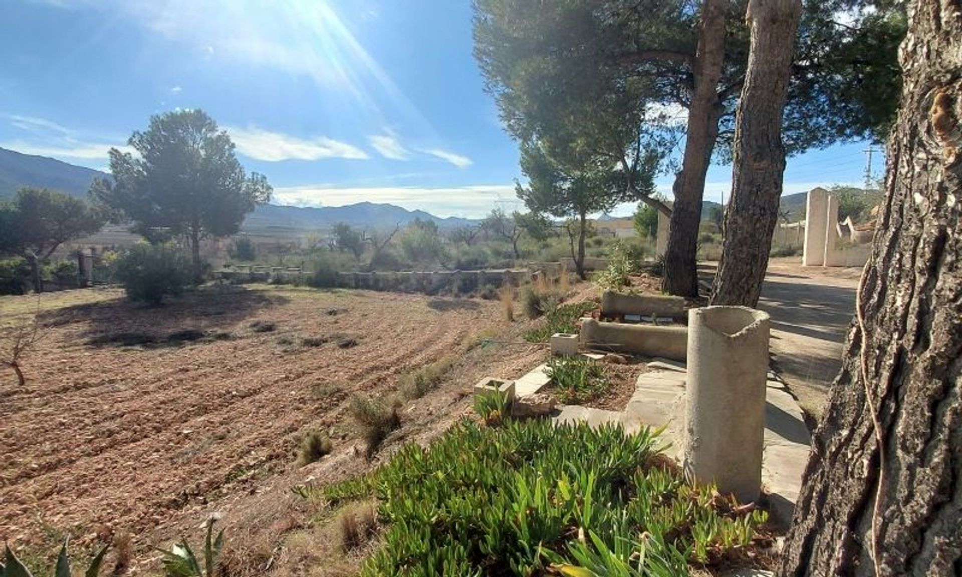 Haus im El Fondó de les Neus, Valencian Community 11540189