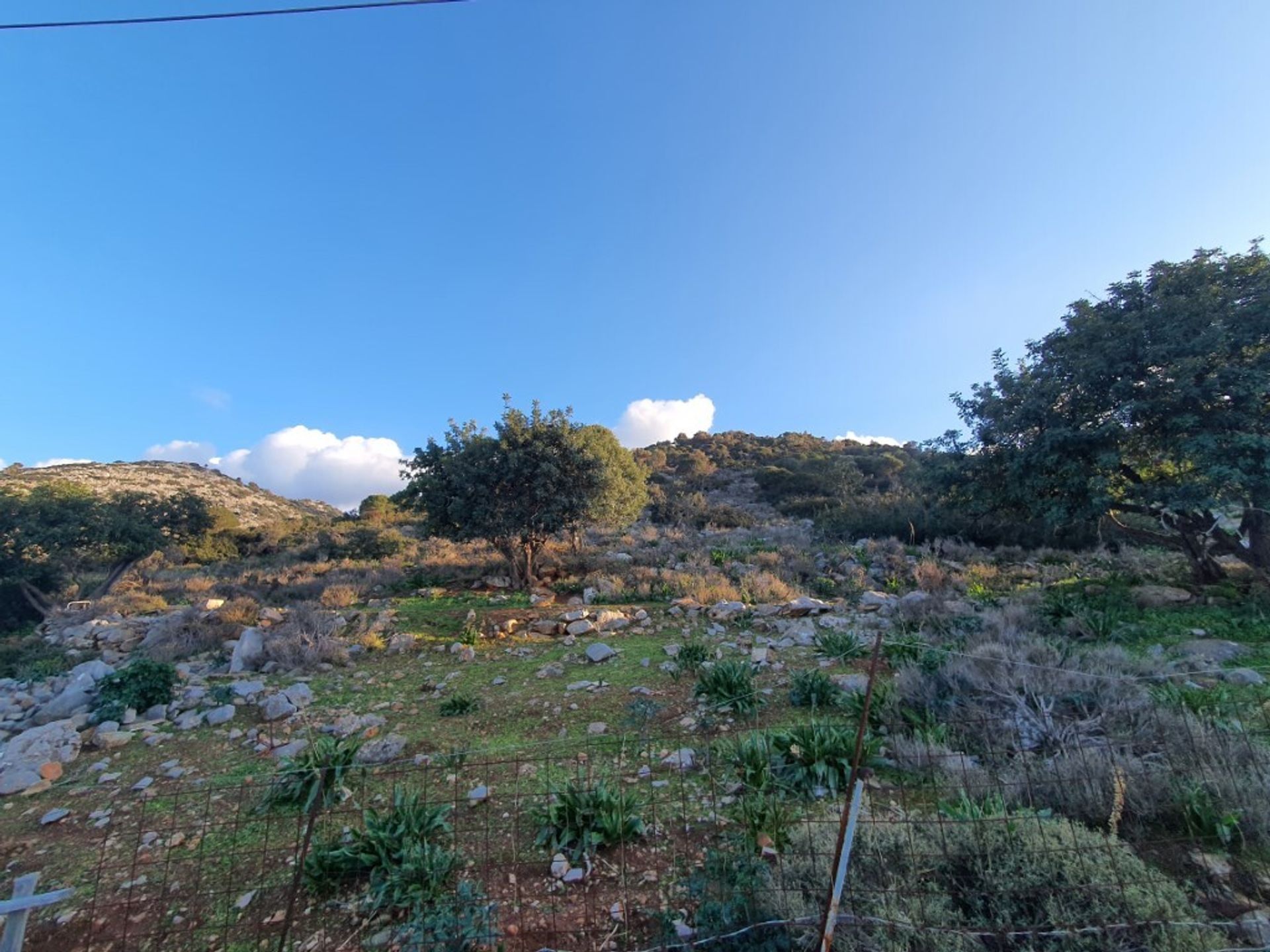 Land in Malia, Kriti 11540929