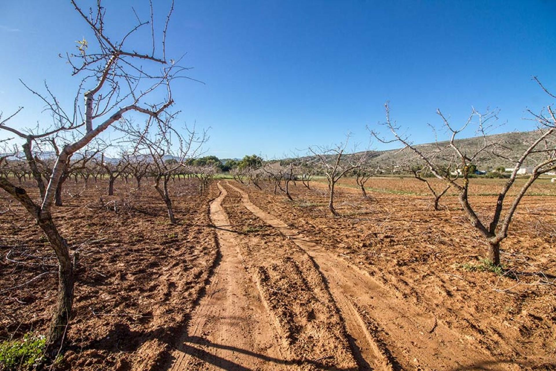 Land in Teulada, Comunidad Valenciana 11541059