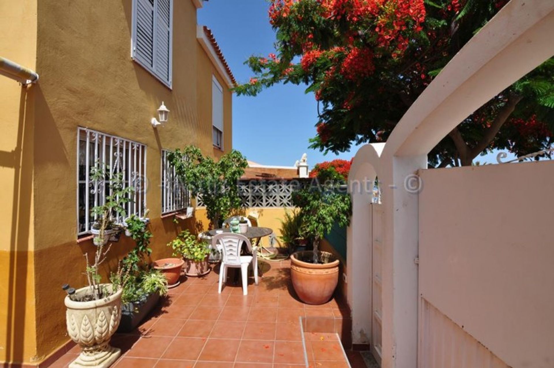 Casa nel Porto di Santiago, isole Canarie 11541251