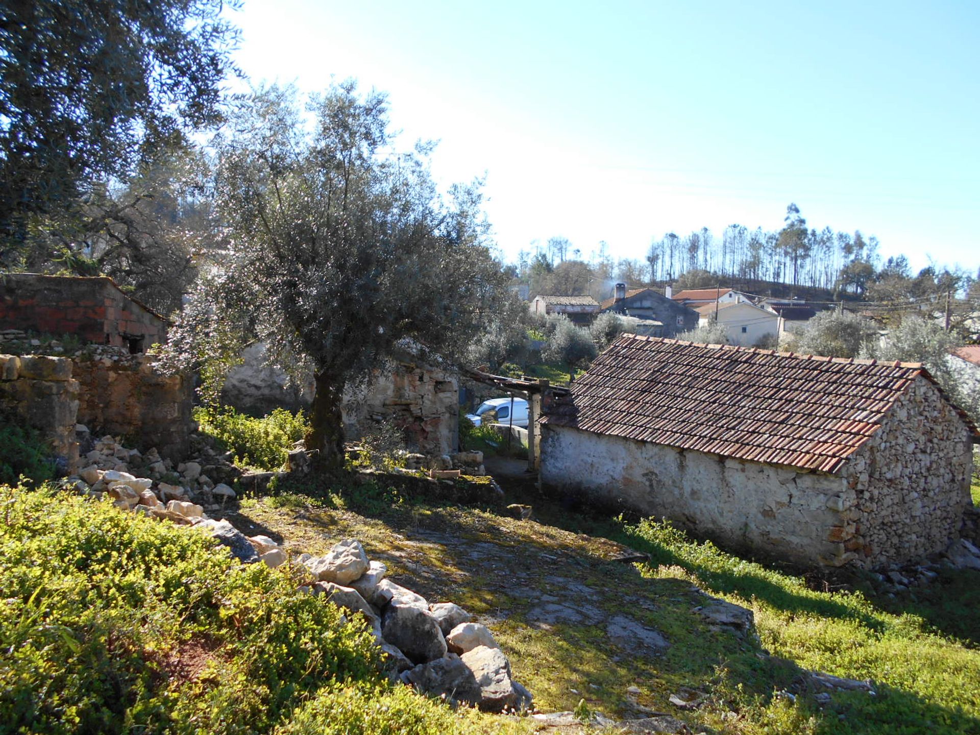 casa en Leiria, Leiria District 11541415