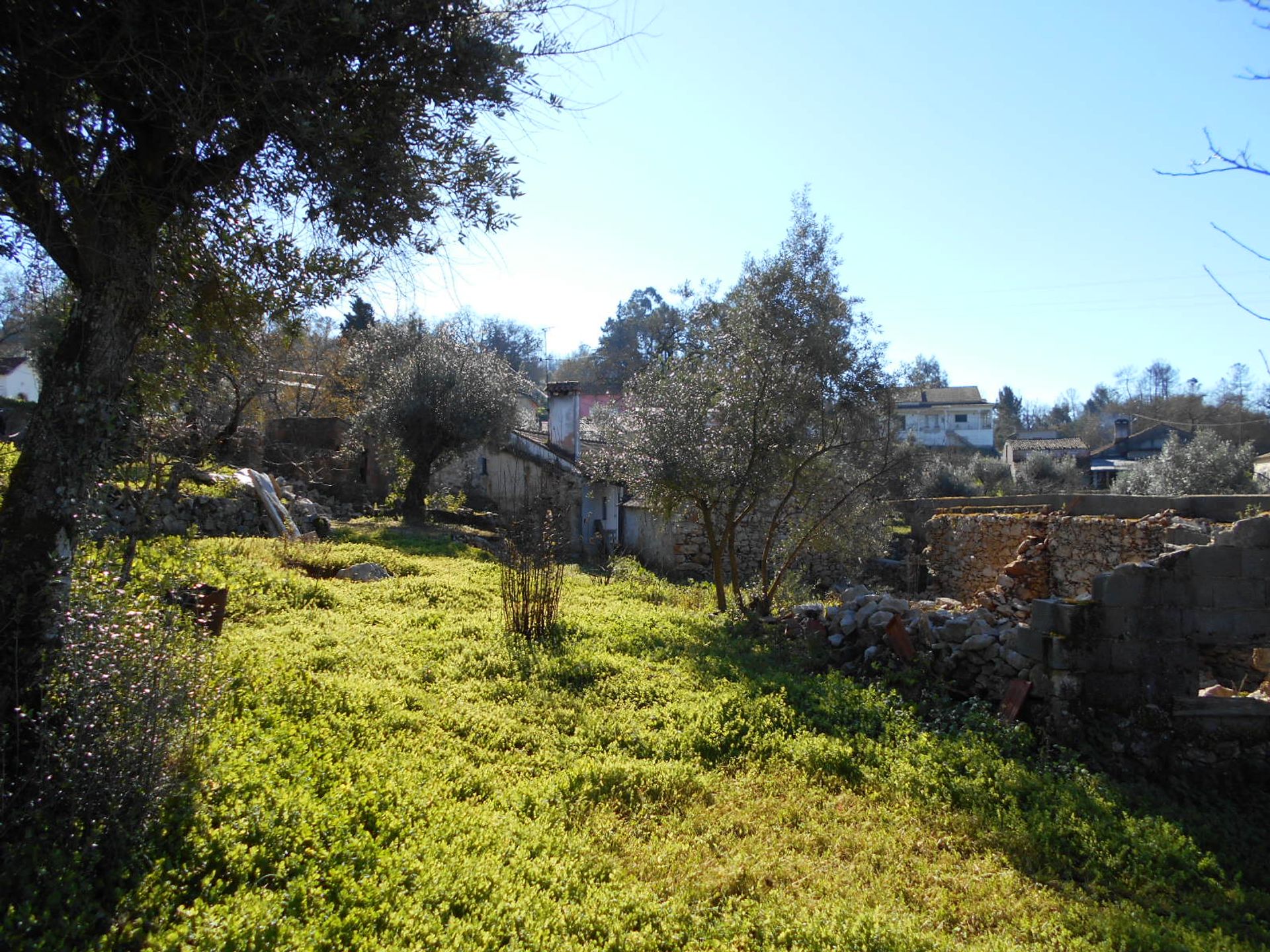 casa en Leiria, Leiria District 11541415