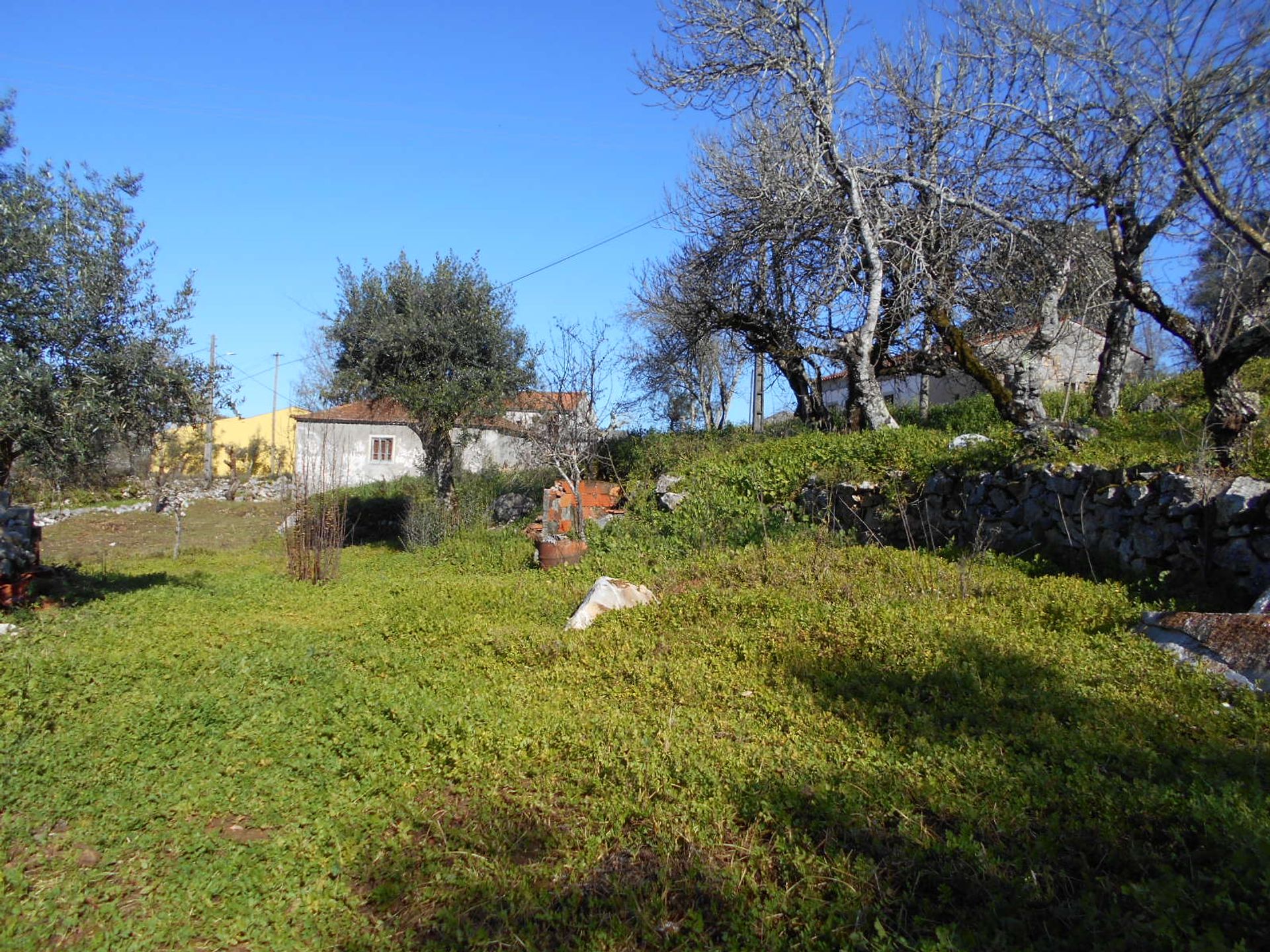 casa en Leiria, Leiria District 11541415