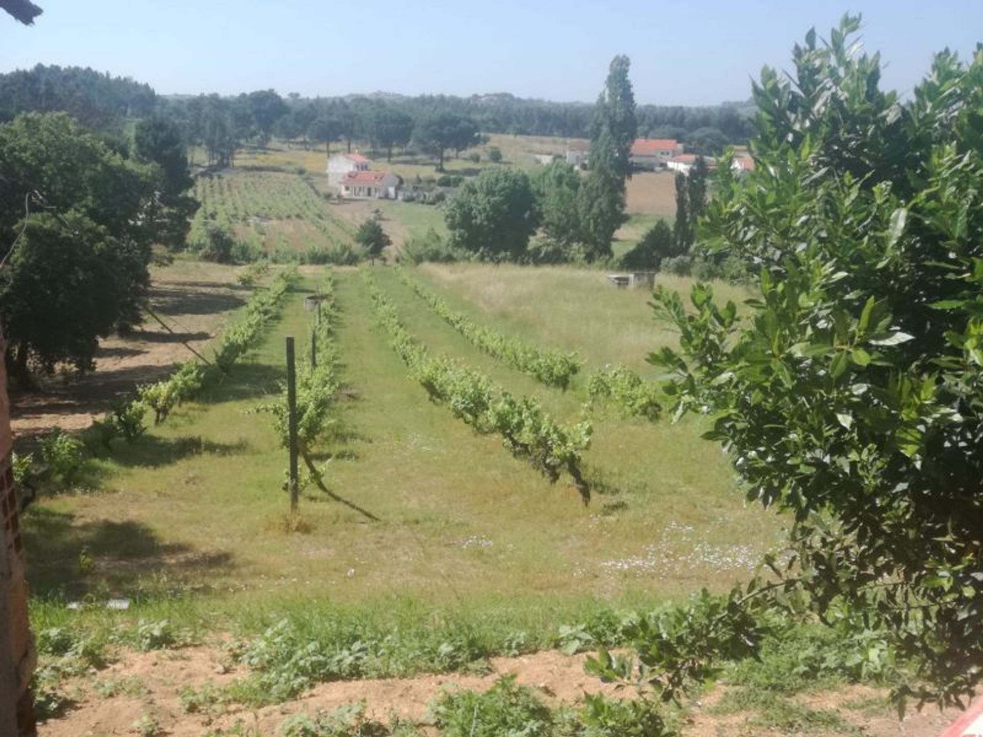 Haus im Santarem, Santarém District 11541416