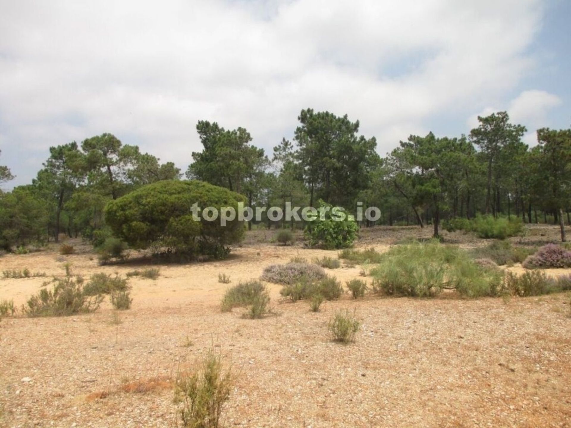 Rumah di Punta del Caiman, Andalusia 11541785