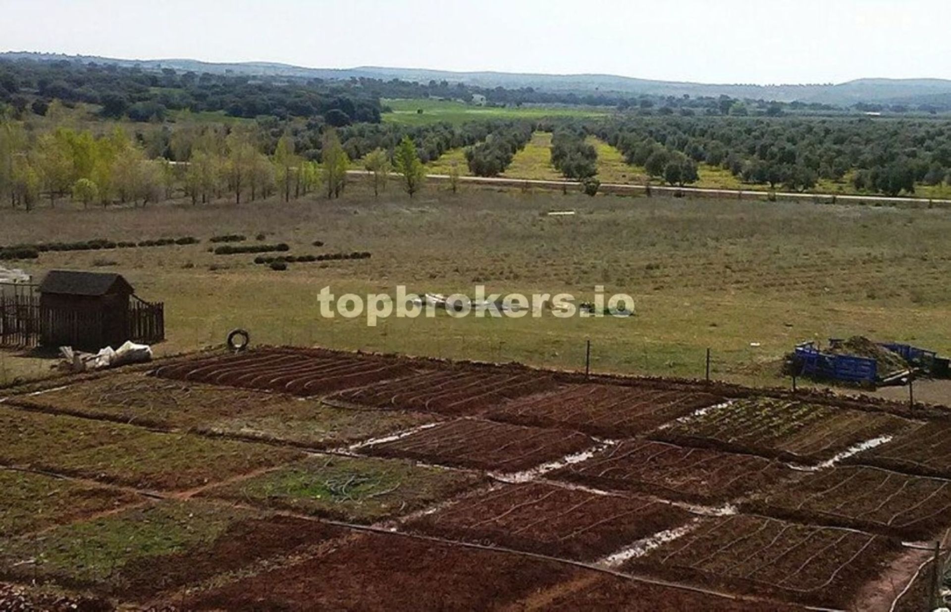 Hus i Torrenueva, Castilla-La Mancha 11541808