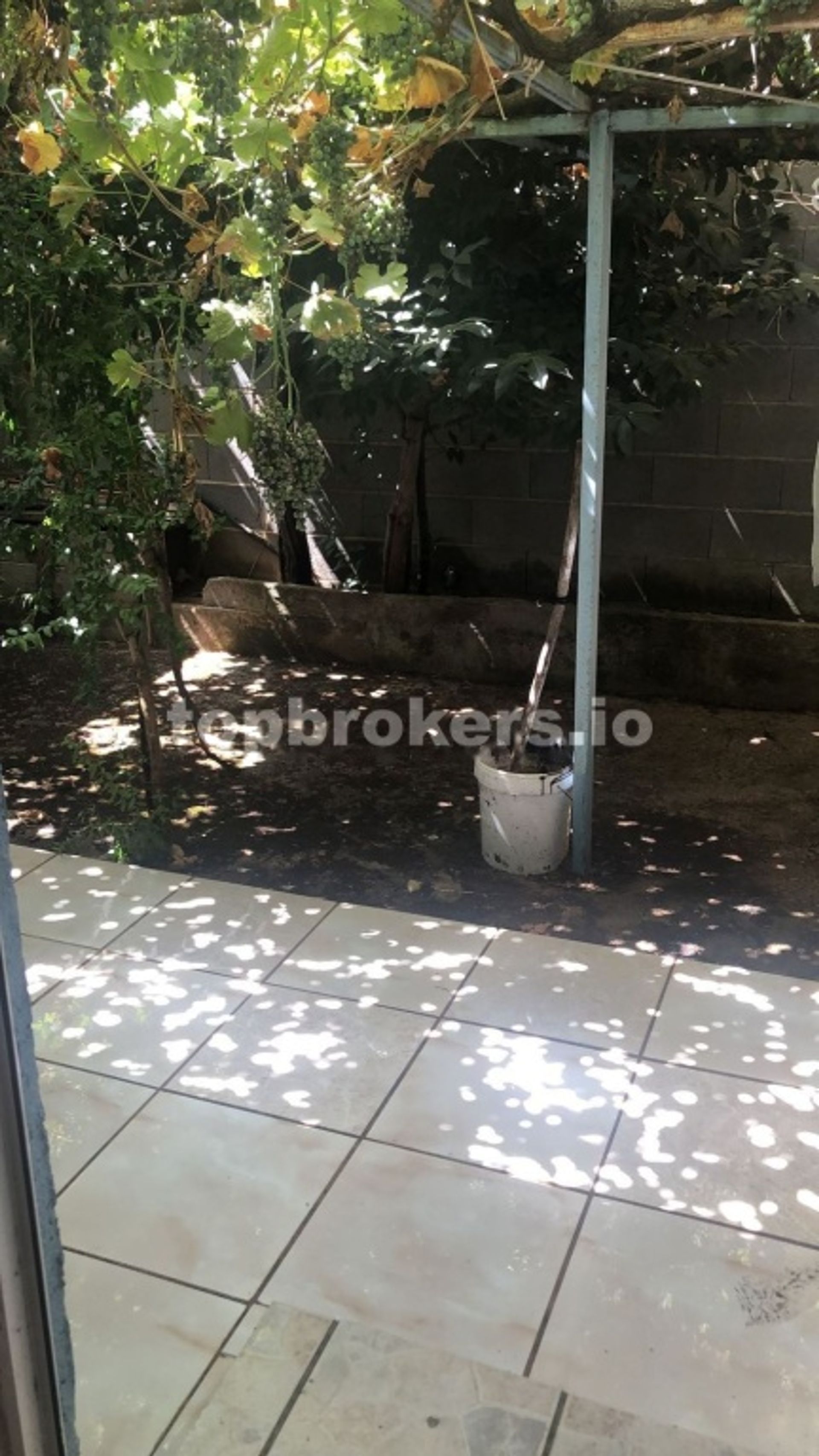 House in Piedrabuena, Castilla-La Mancha 11541819