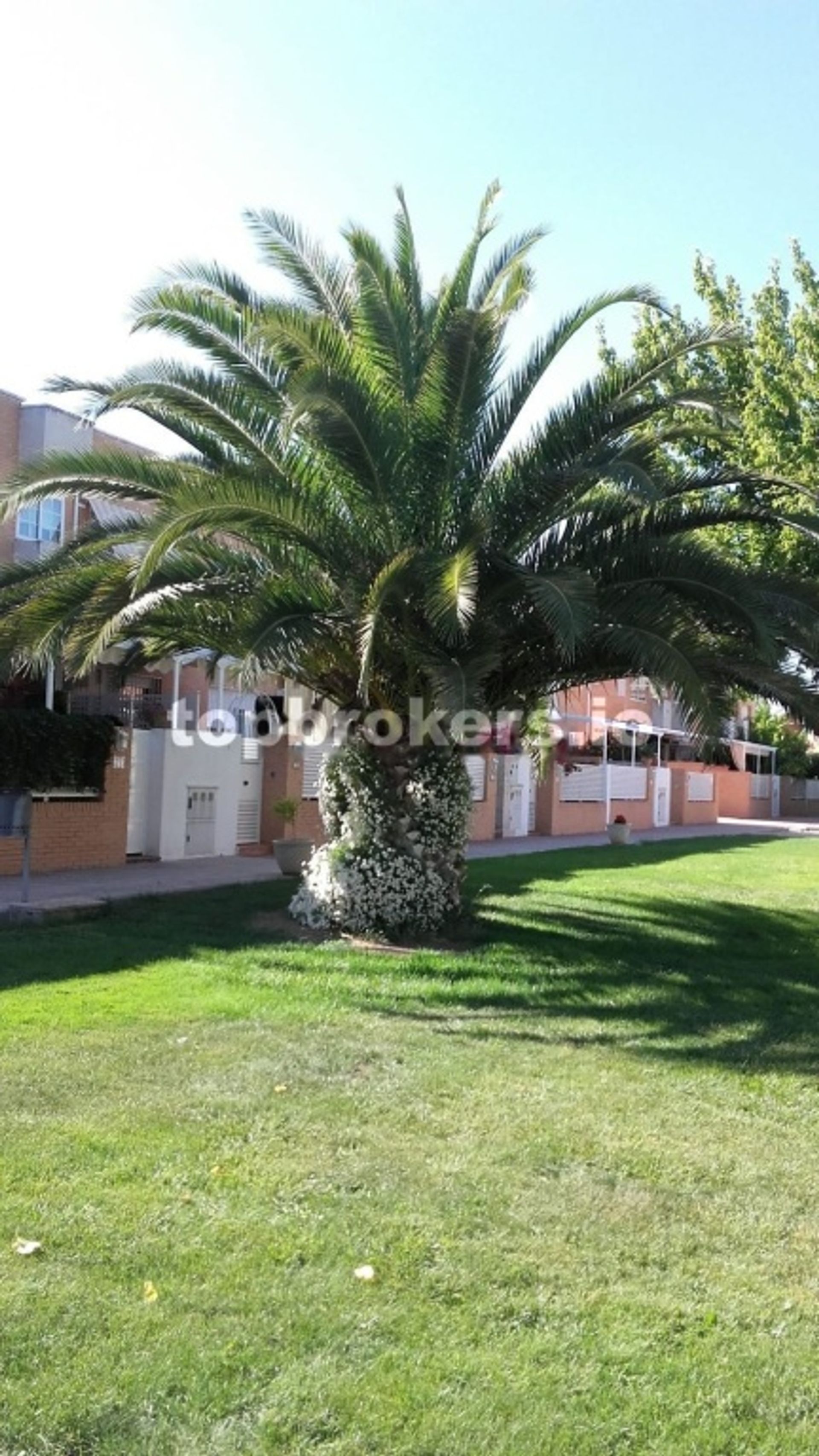 House in Ciudad Real, Castilla-La Mancha 11541820