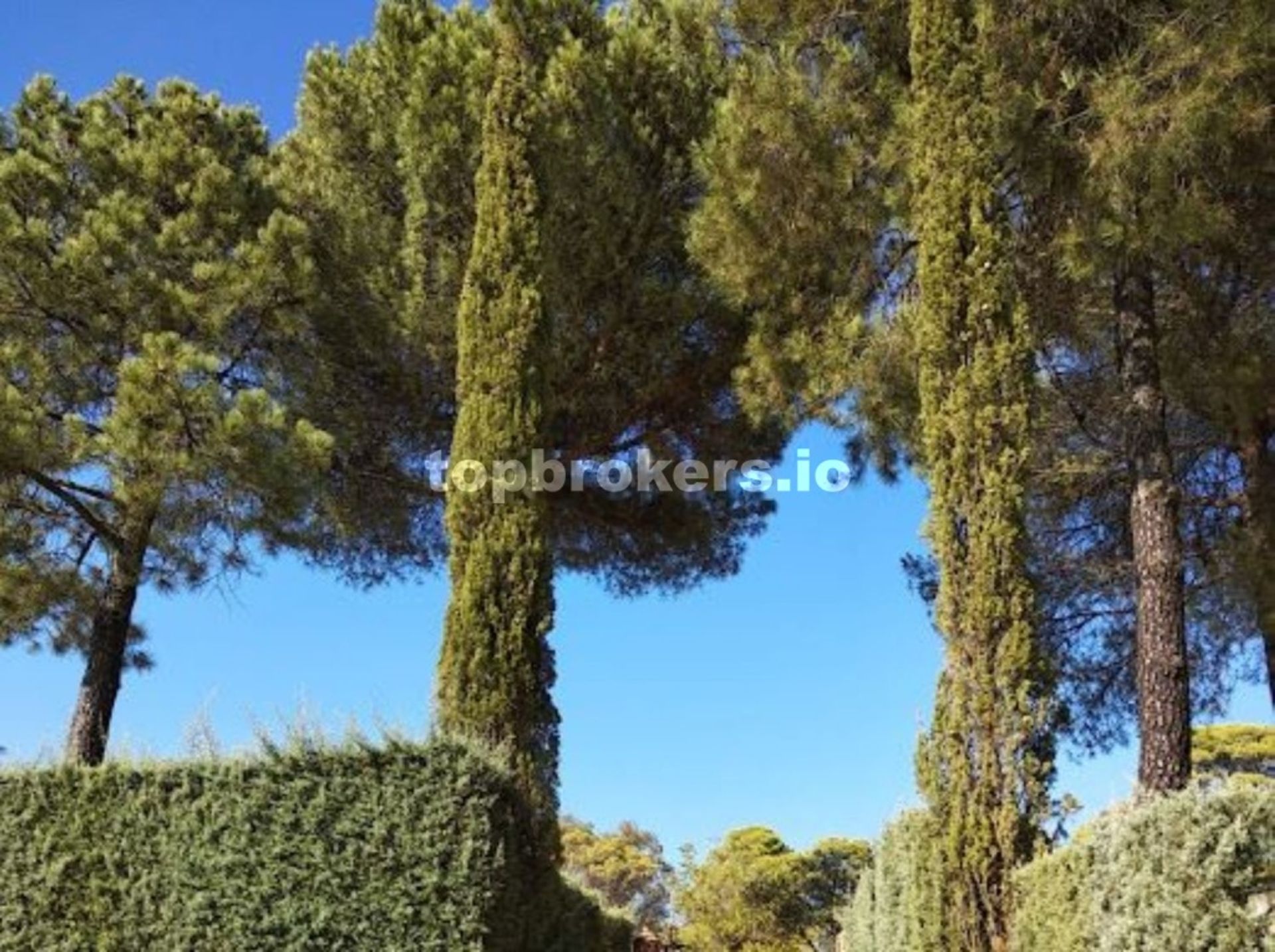 House in Andújar, Andalucía 11541833