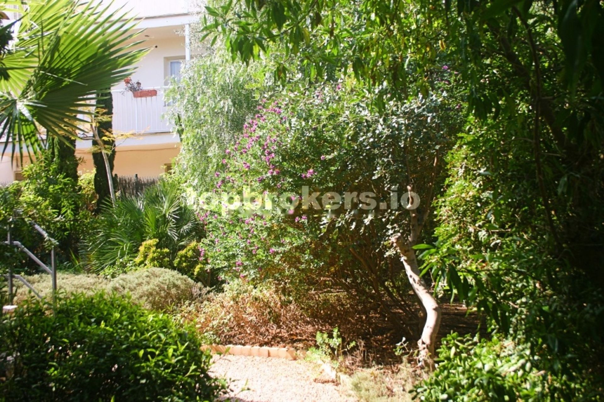 House in Palma, Illes Balears 11542011