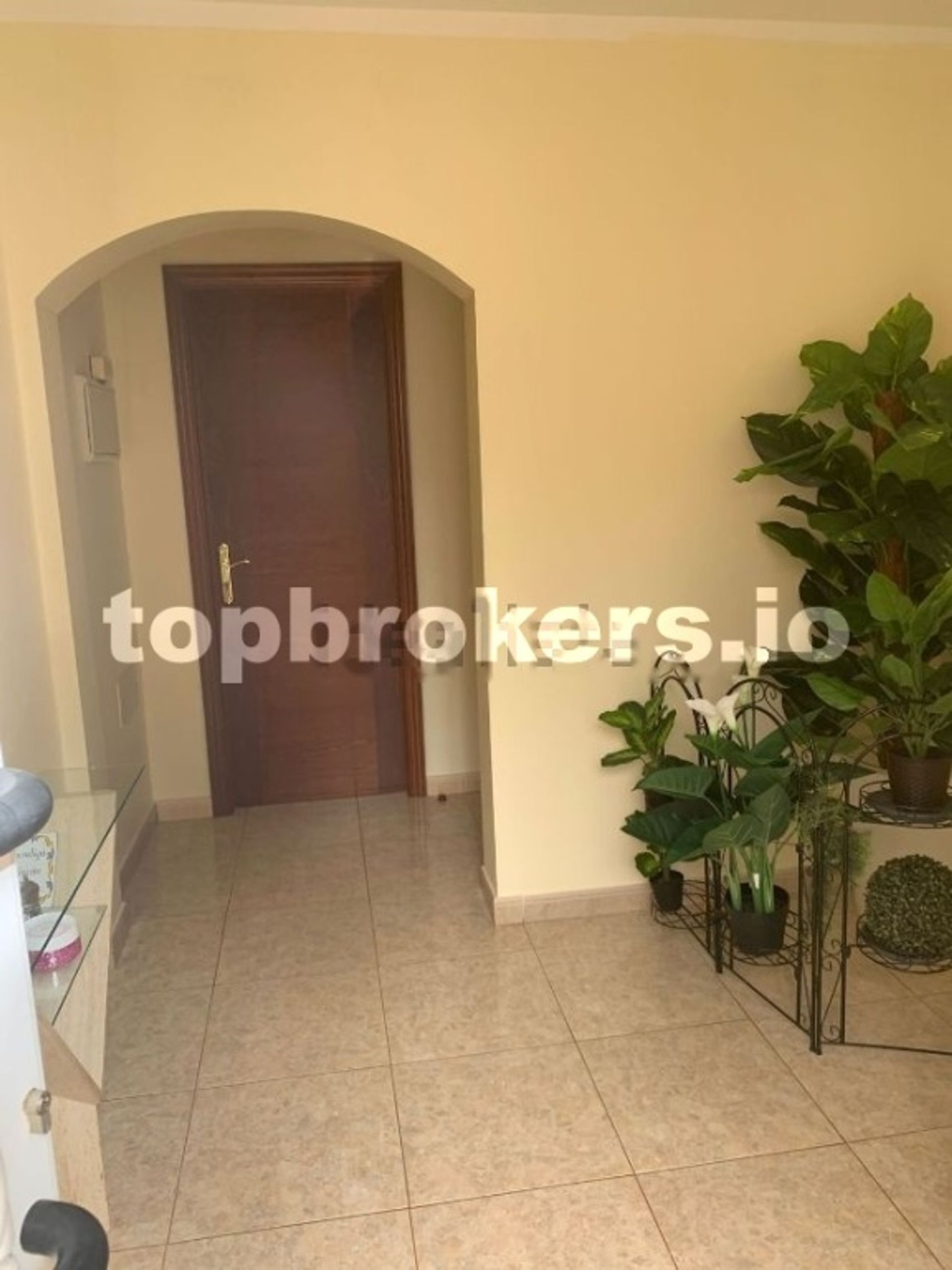 House in Pajara, Canary Islands 11542328