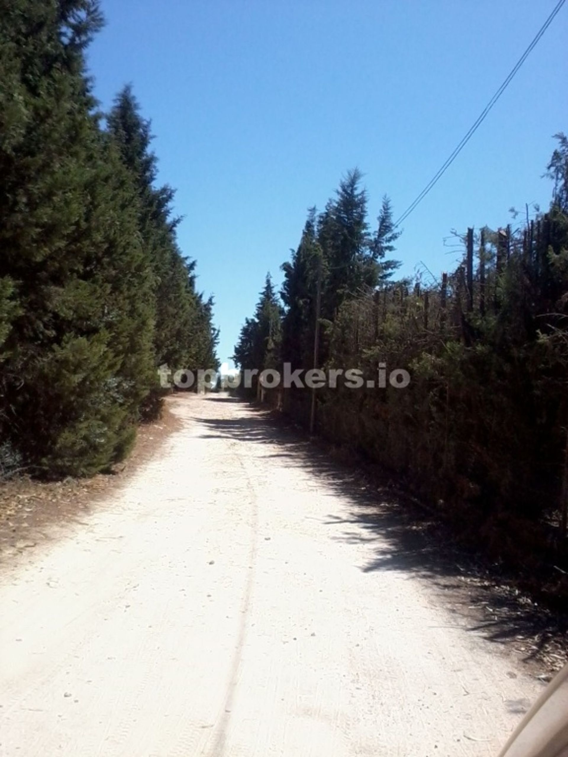 Talo sisään Jerez de la Frontera, Andalucía 11542460