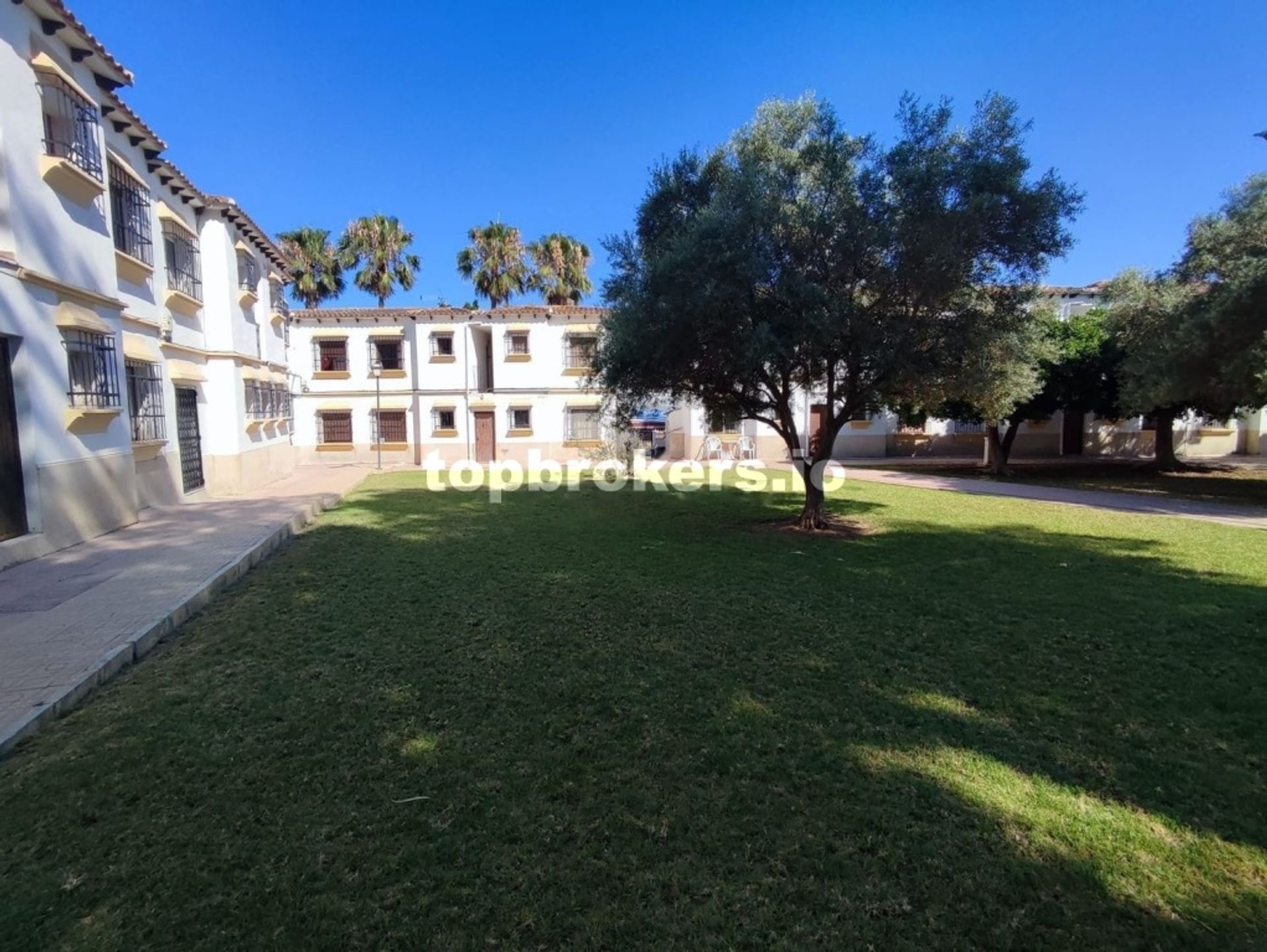 公寓 在 San Miguel de Salinas, Comunidad Valenciana 11542476