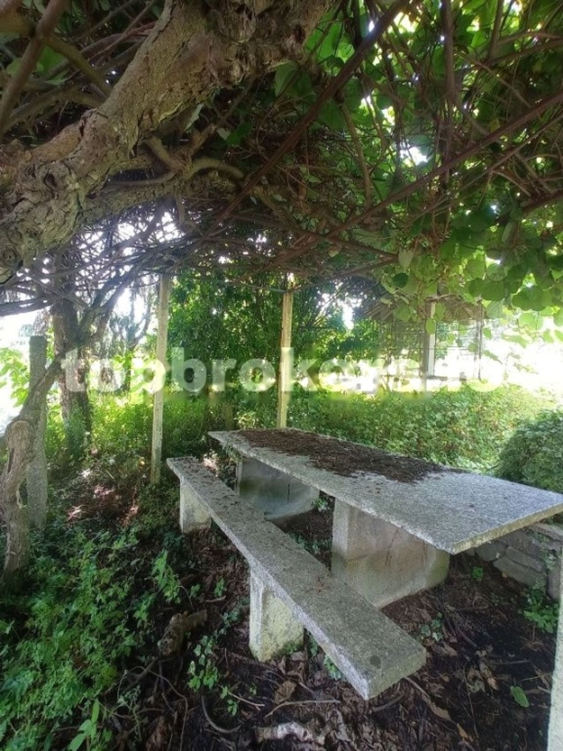 casa en Arbó, Galicia 11542491