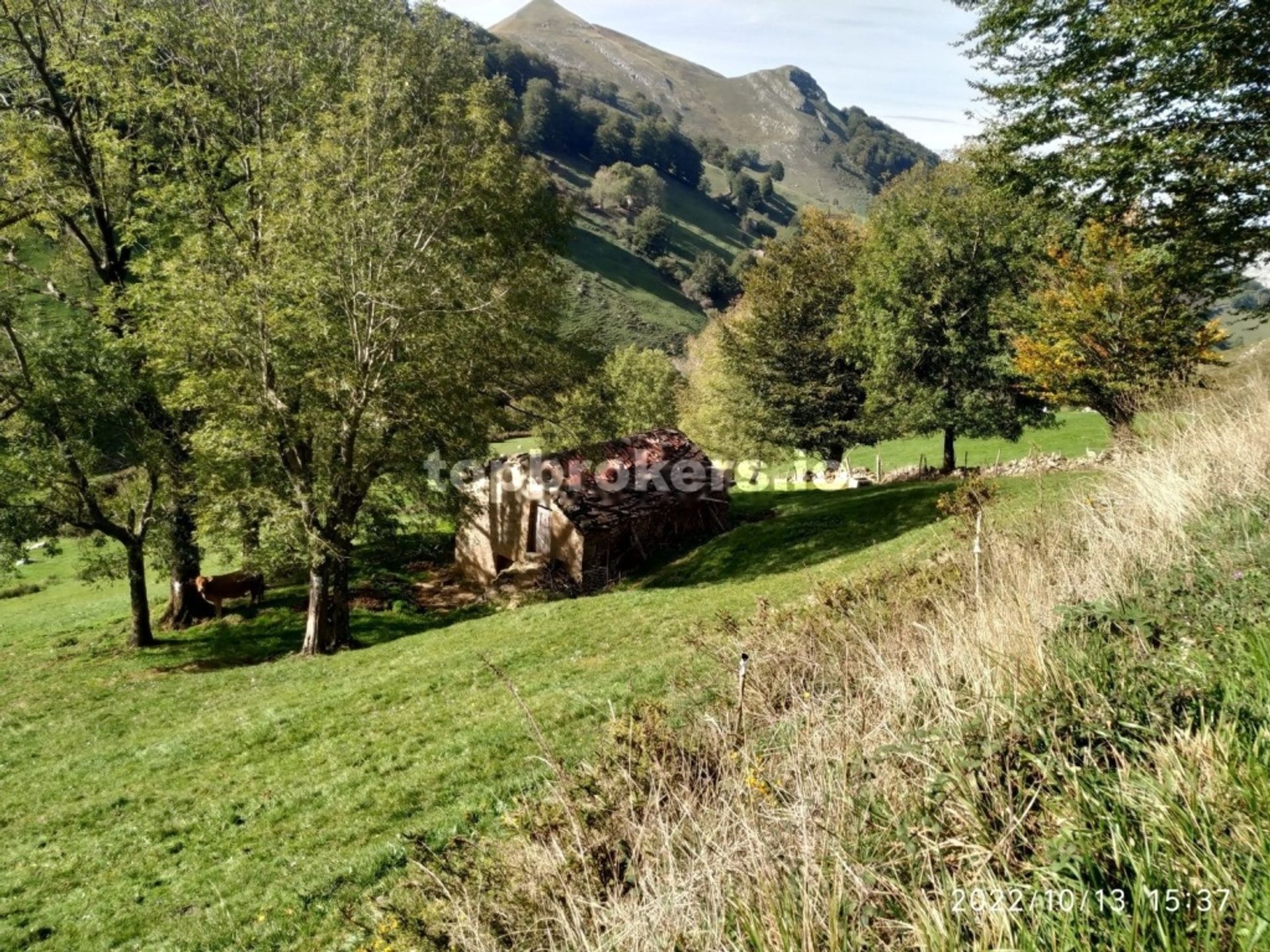 rumah dalam Lanestosa, Negara Basque 11542882