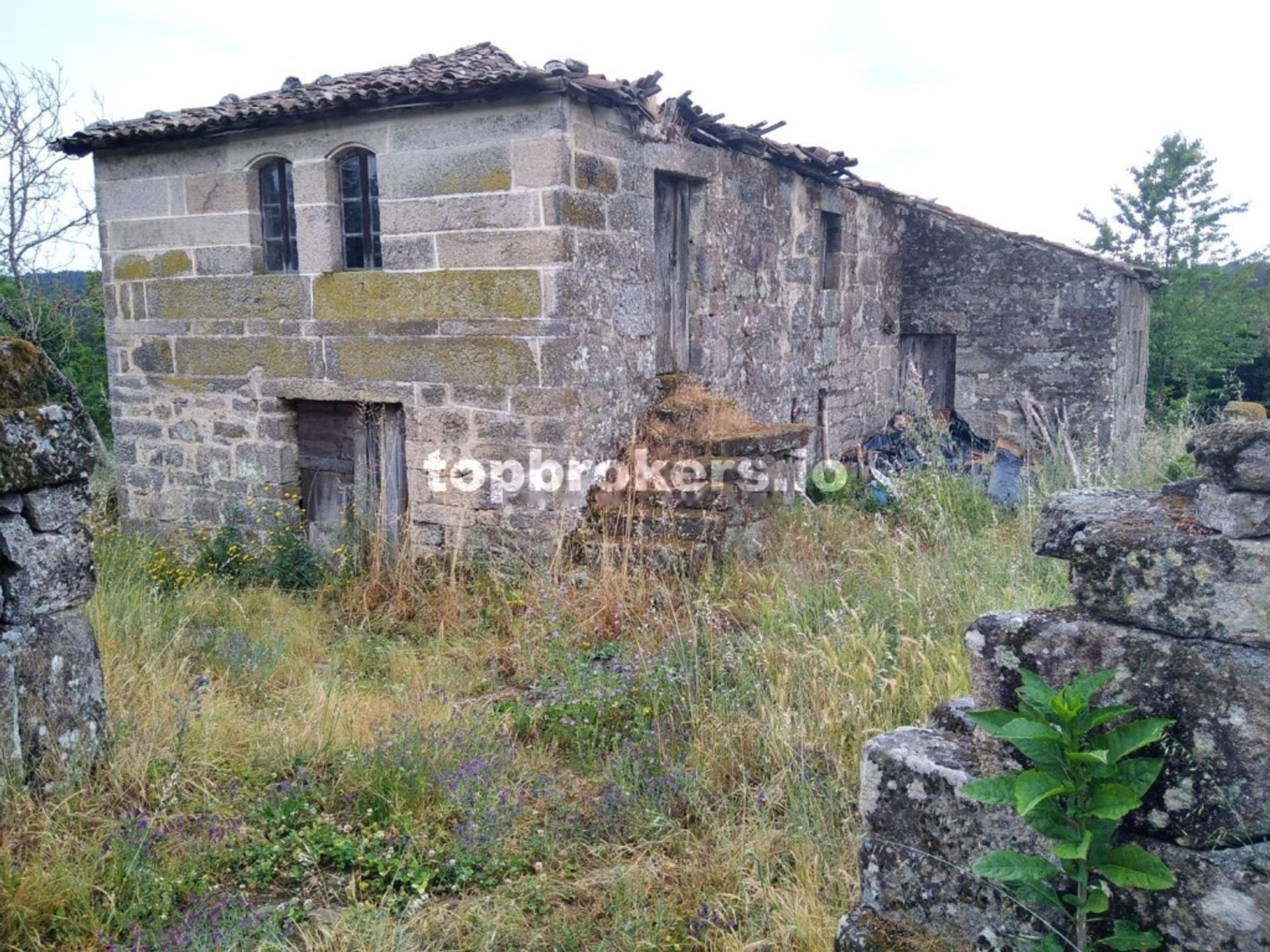 casa en Punxín, Galicia 11542906