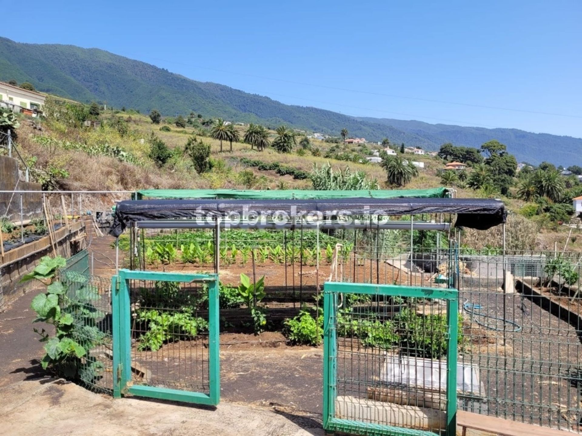 rumah dalam Breña Alta, Canarias 11542927