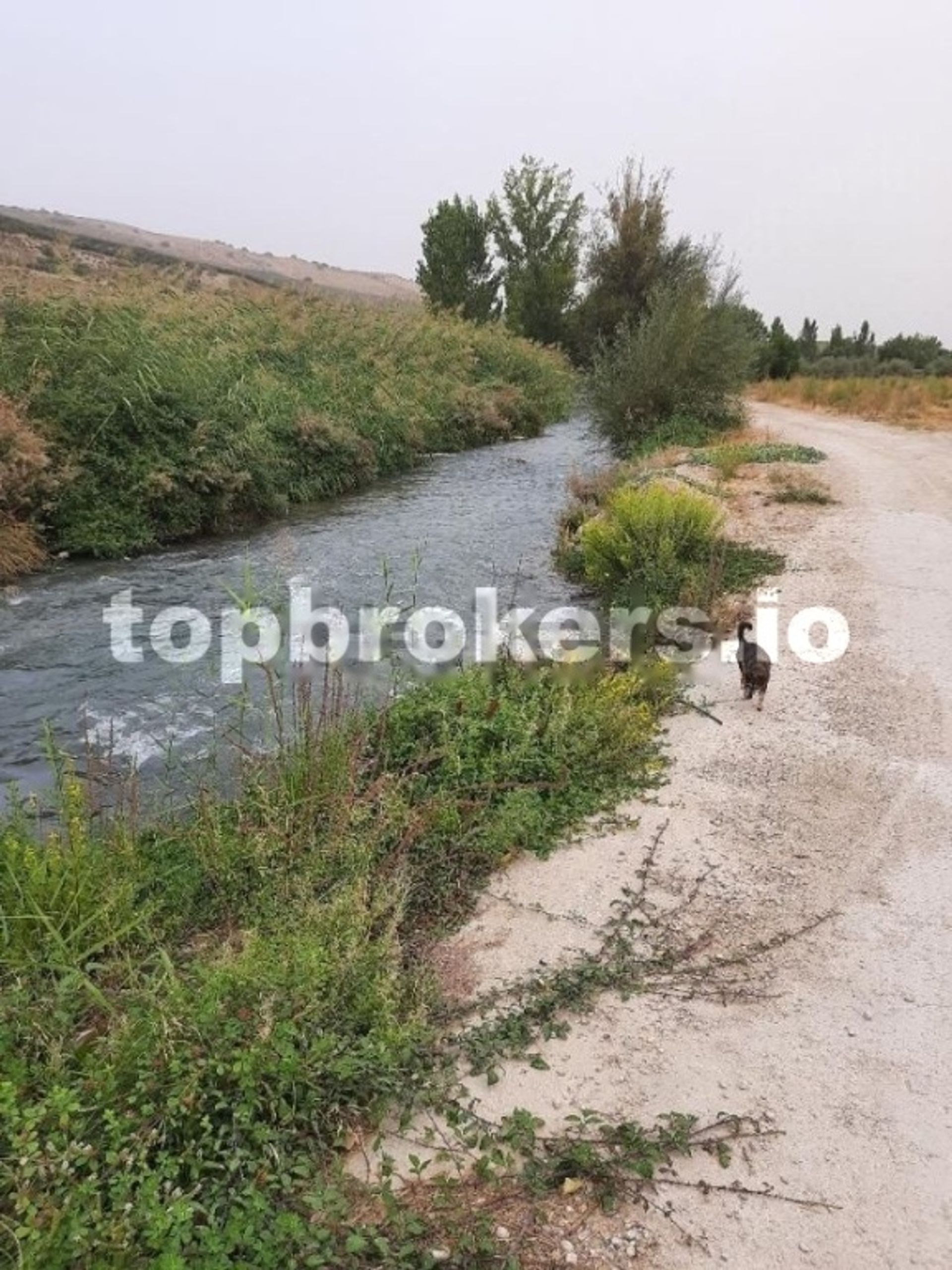 House in Santa Cruz de Alhama, Andalusia 11542957