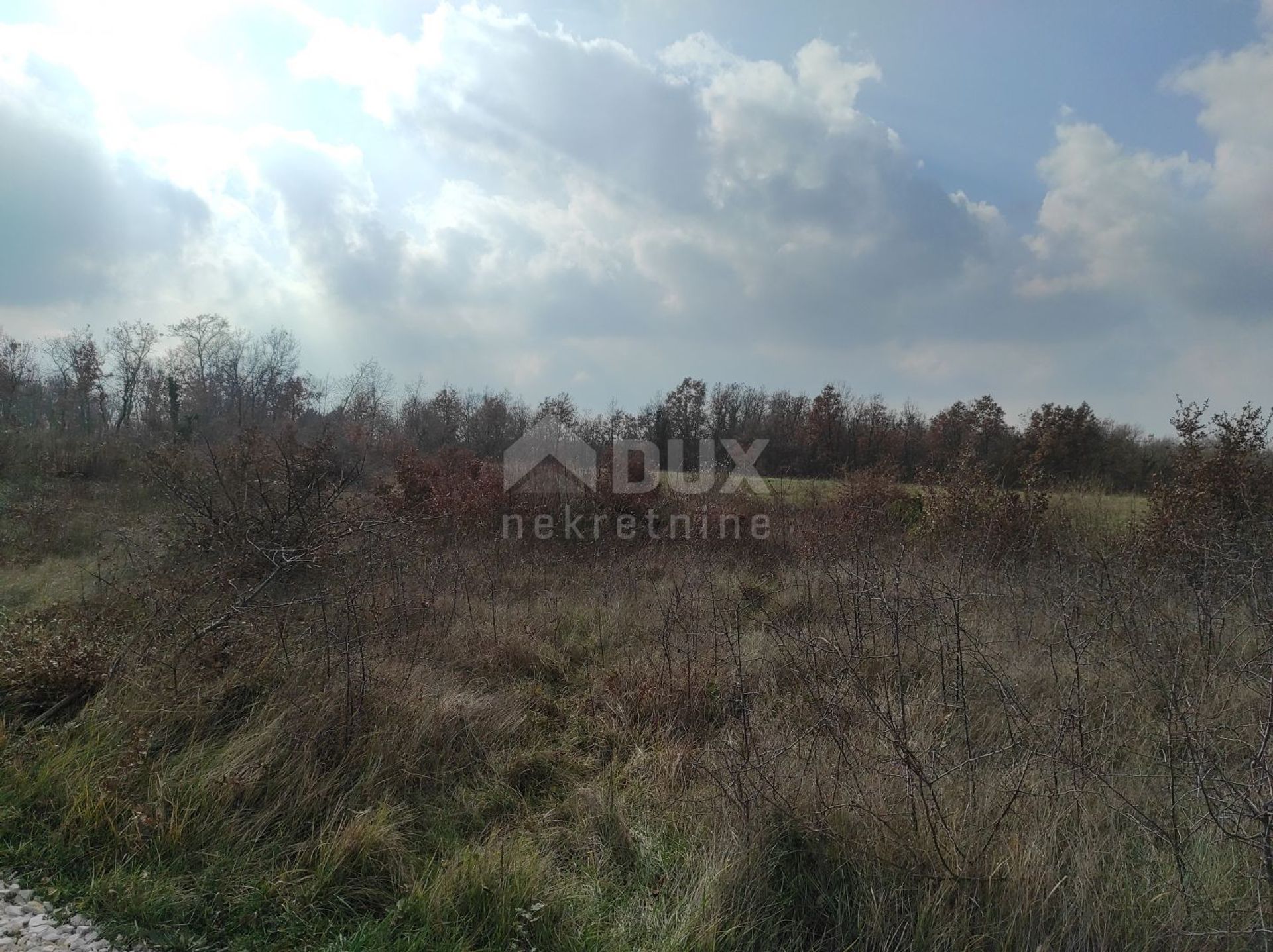 Land in Susnjevica, Istarska Zupanija 11544427