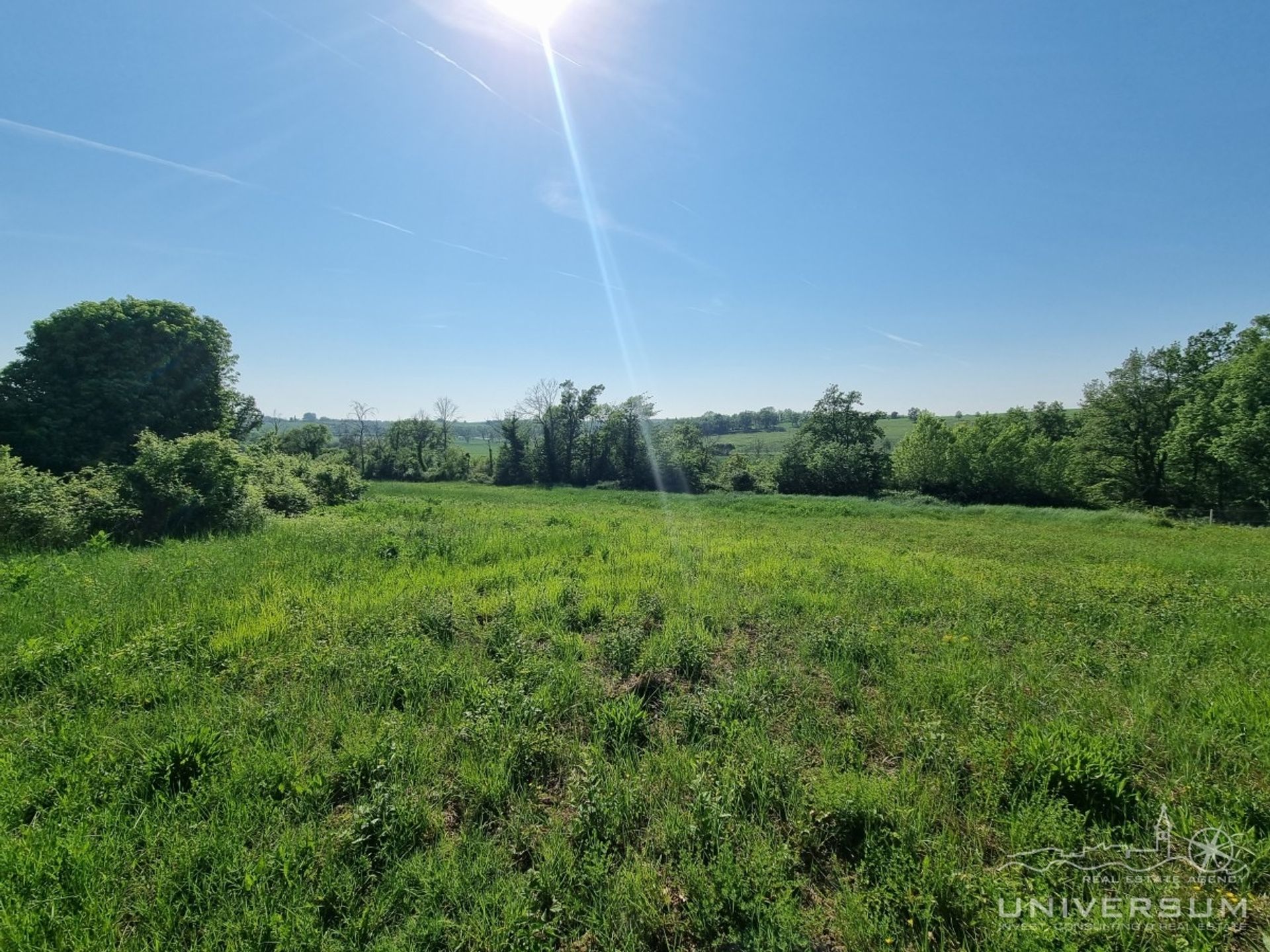 Andere in Buje, Istarska Zupanija 11545140