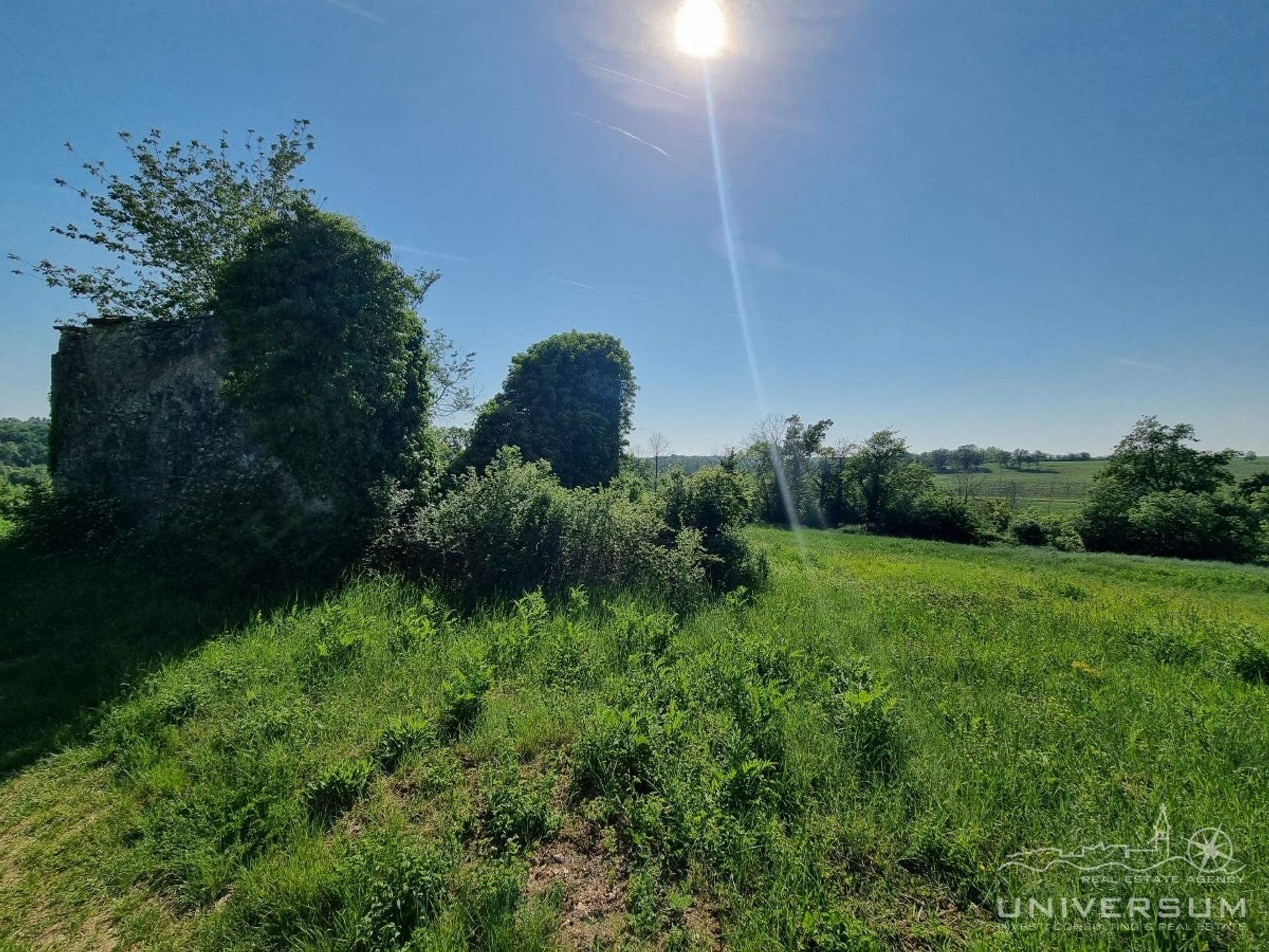 Autre dans Buje, Istarska Zupanija 11545140