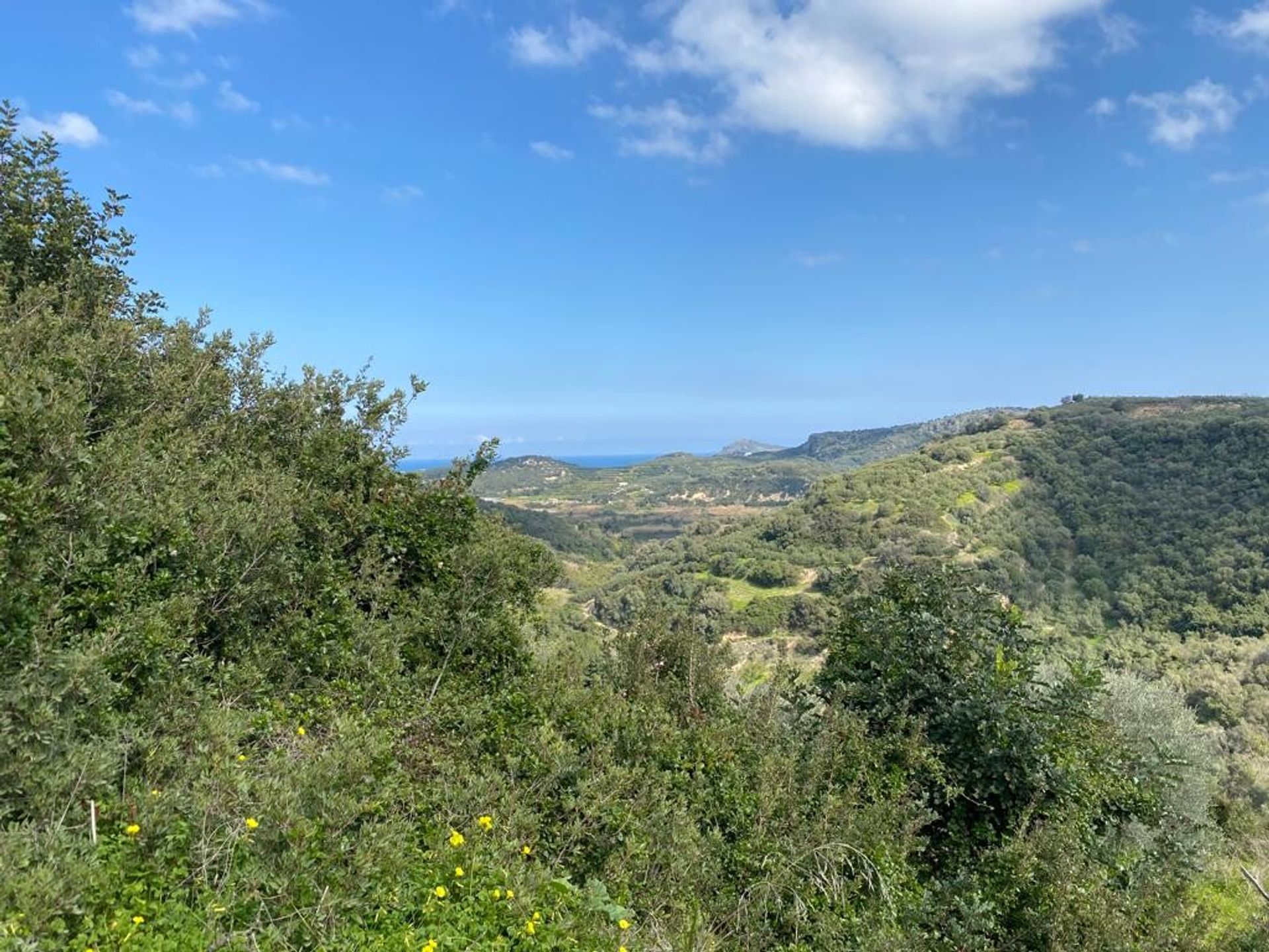 Land i Pano Gerani, Kriti 11545458