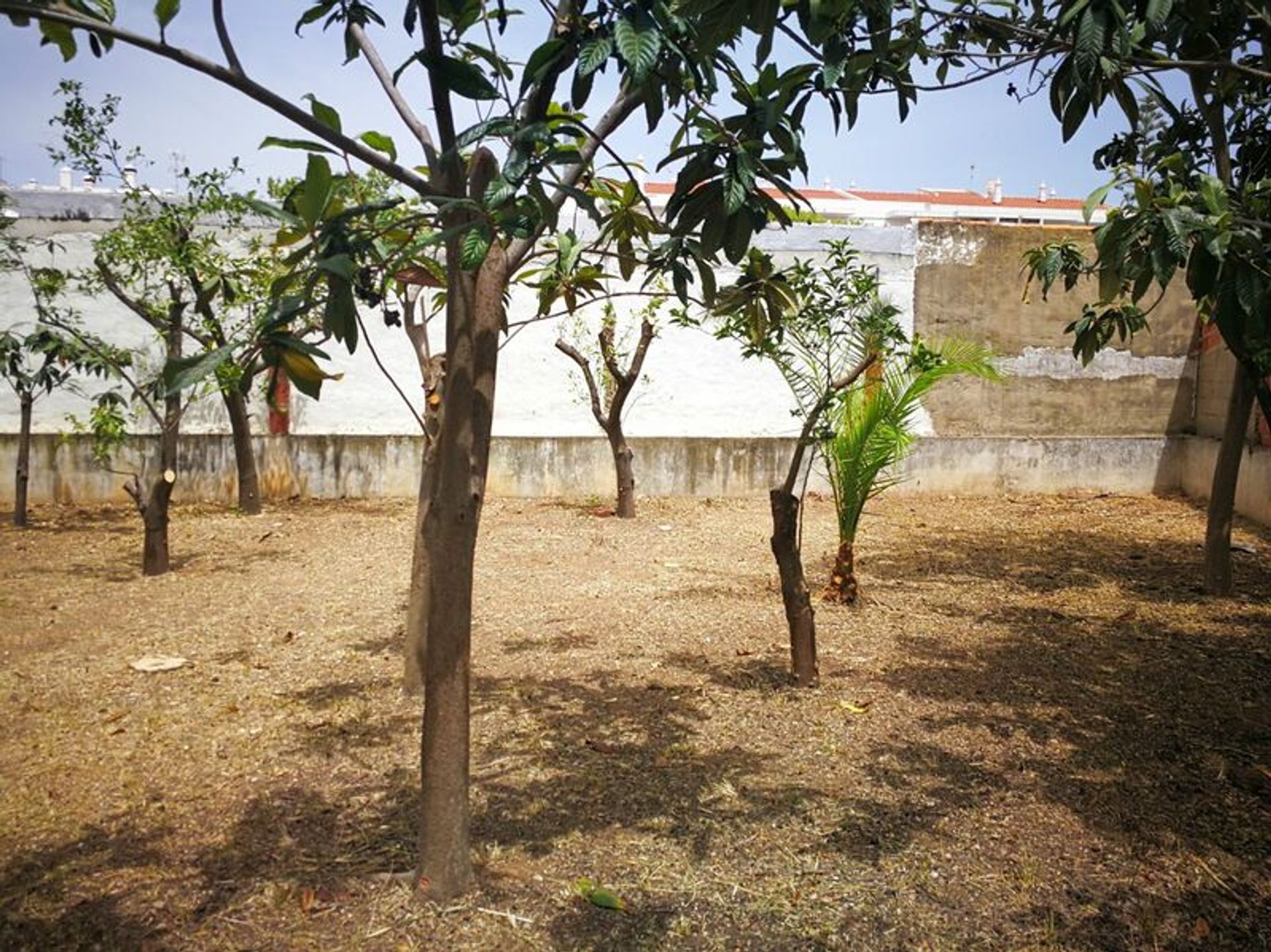 casa no Tavira, Faro District 11546213