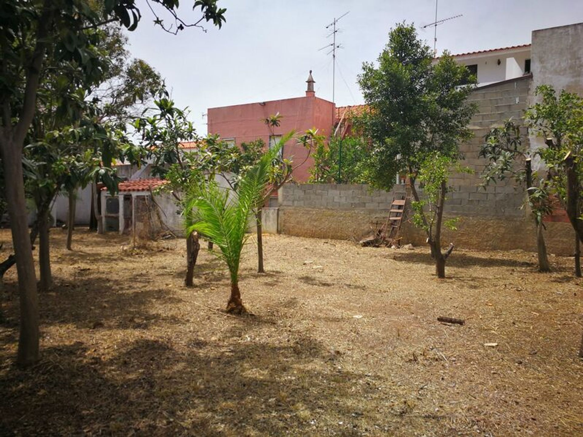 casa no Tavira, Faro District 11546213