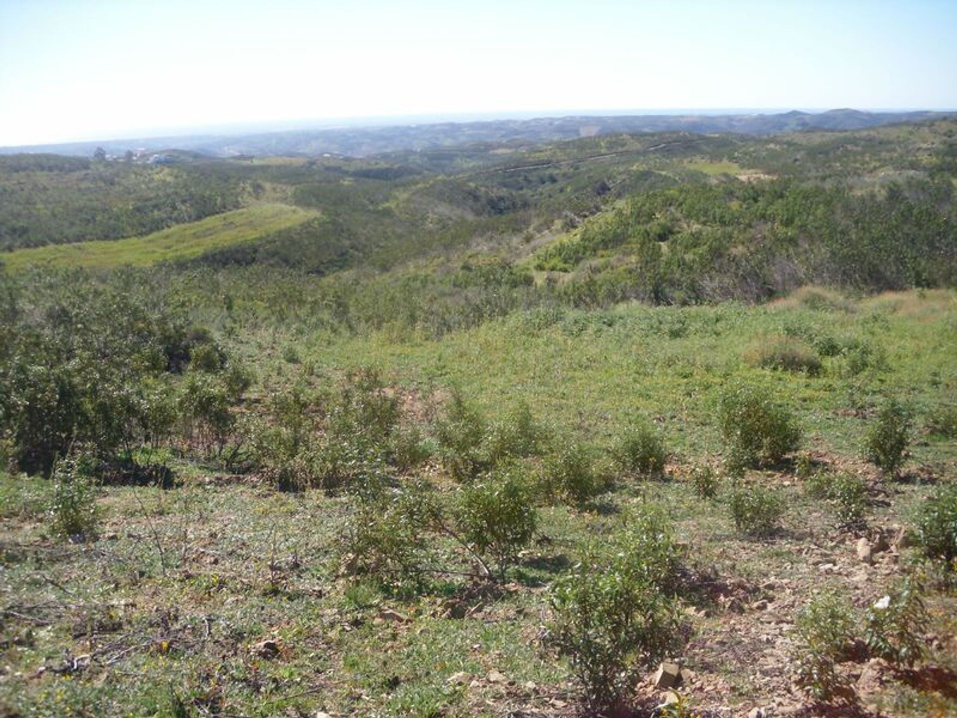 Land in Tavira, Faro District 11546223