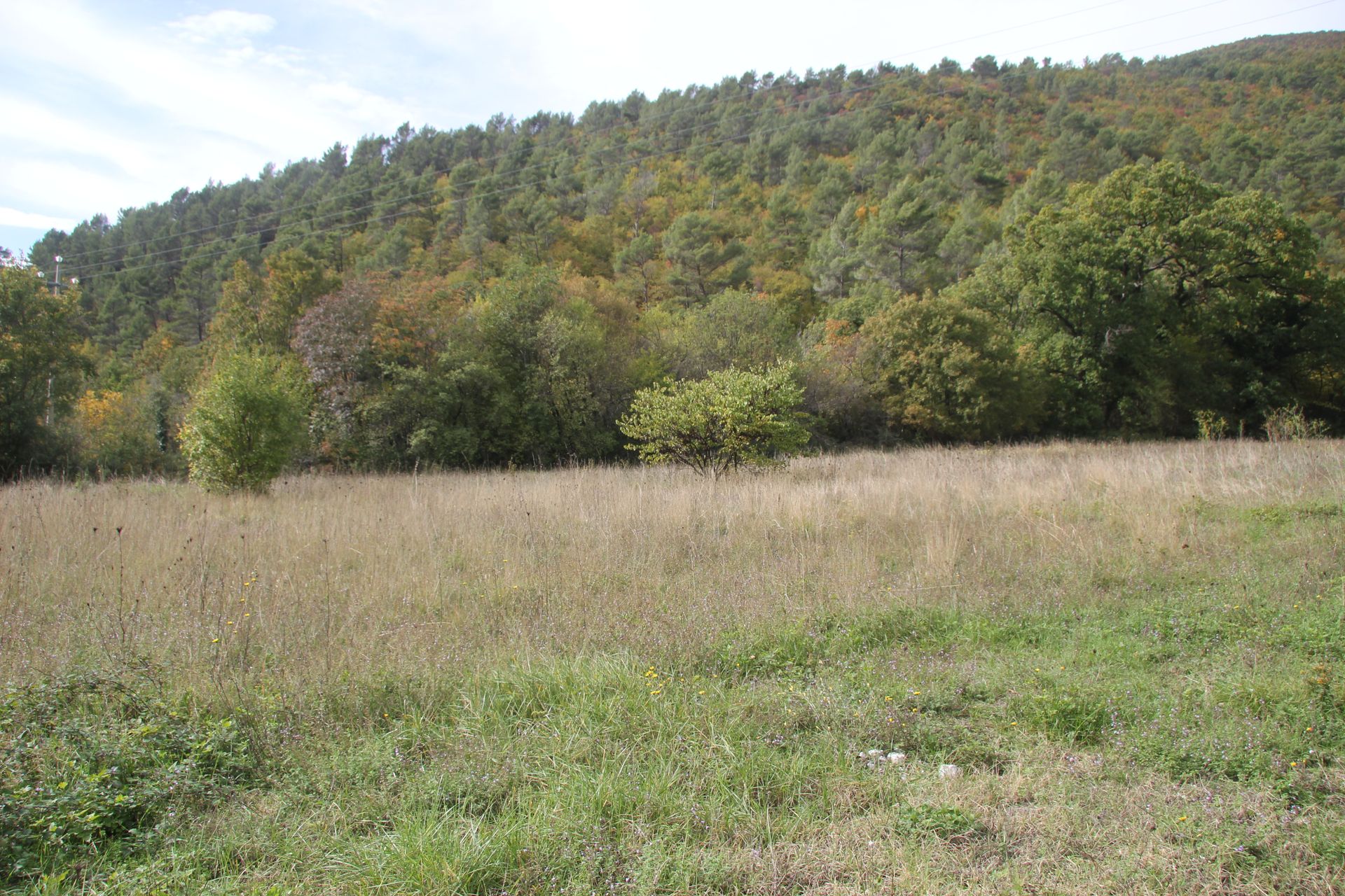 House in Pissignano, Umbria 11546923