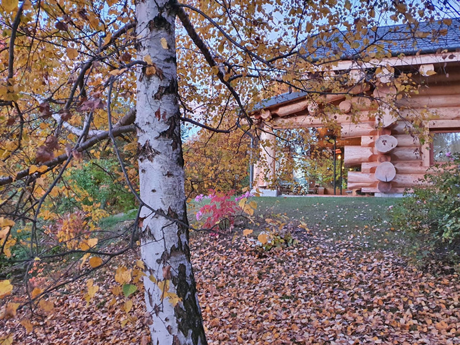 Casa nel Pamparato, Piemonte 11546961