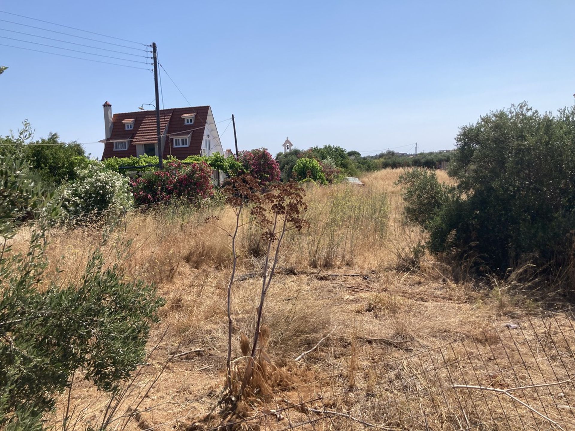 Land in Kathiana, Kriti 11548996