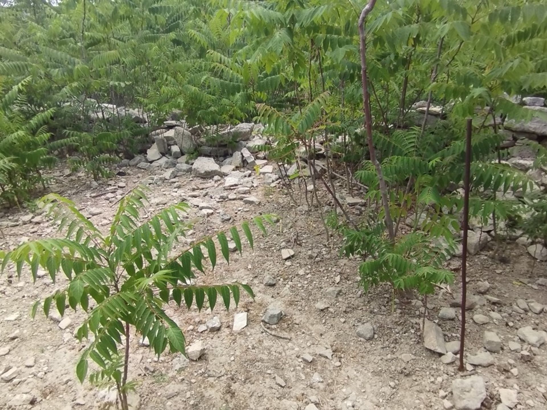 Tanah di Episkopi,  11549087