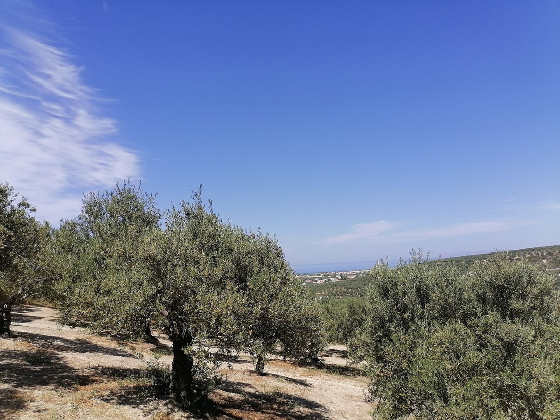 Land in Platanias,  11549345