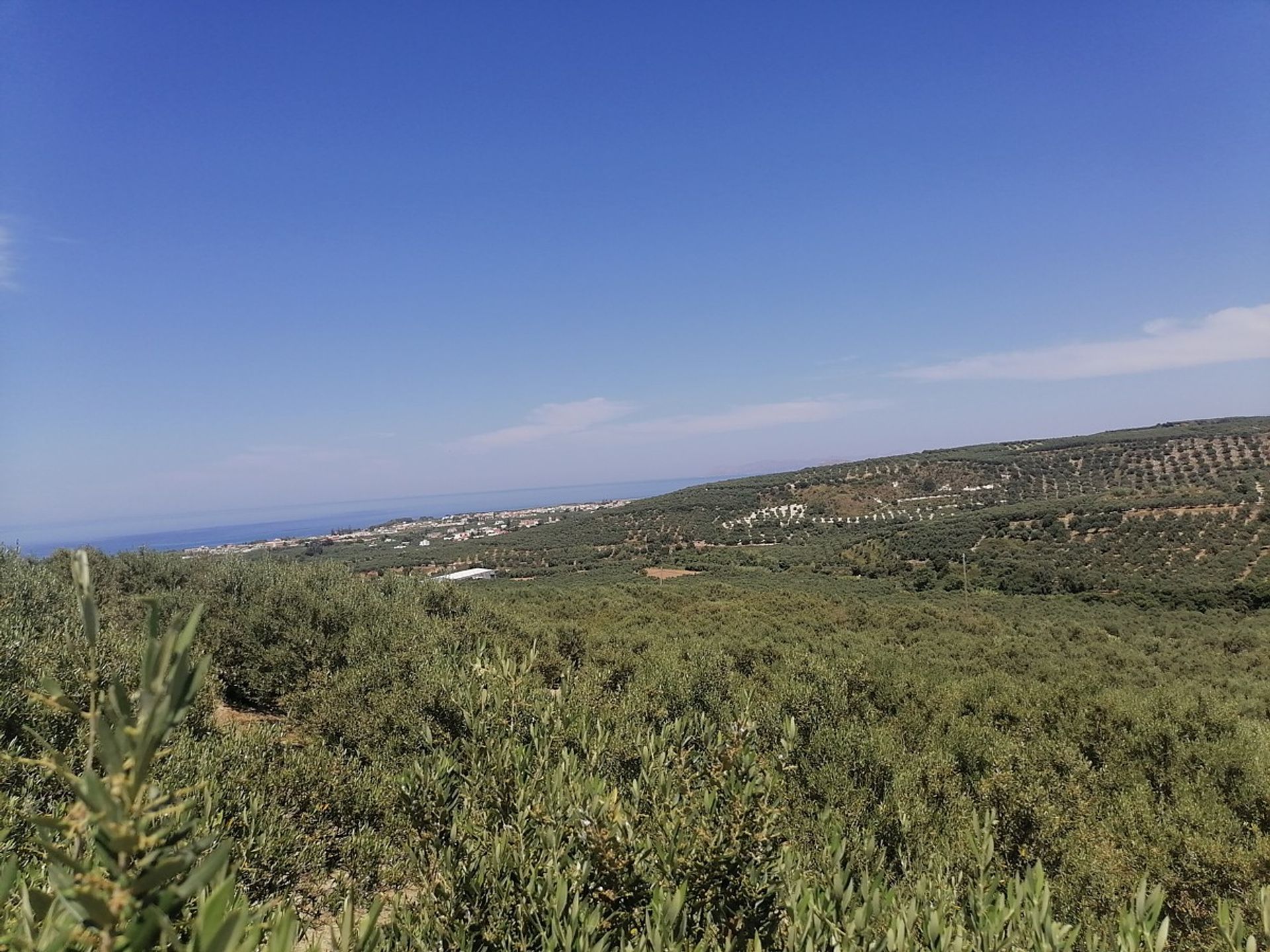 Land in Platanias, Kriti 11549345