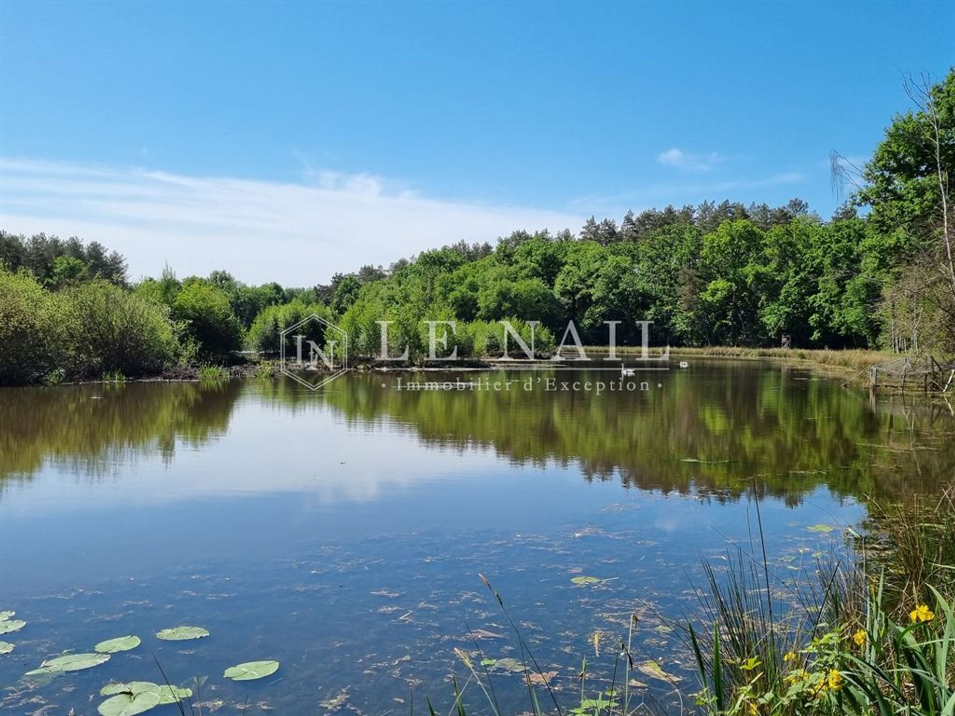 房子 在 Orléans, Centre-Val de Loire 11549444