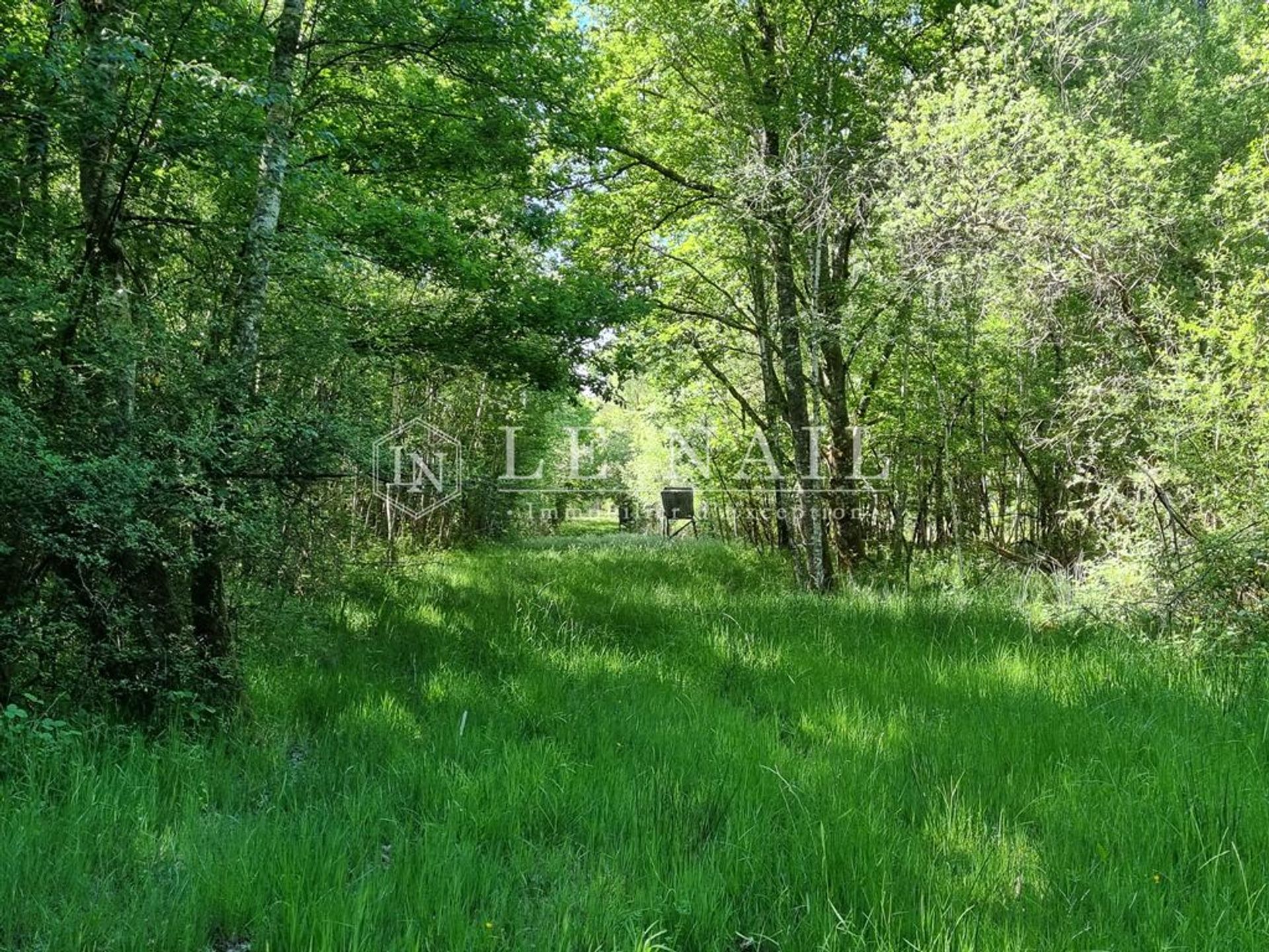 房子 在 Orléans, Centre-Val de Loire 11549444