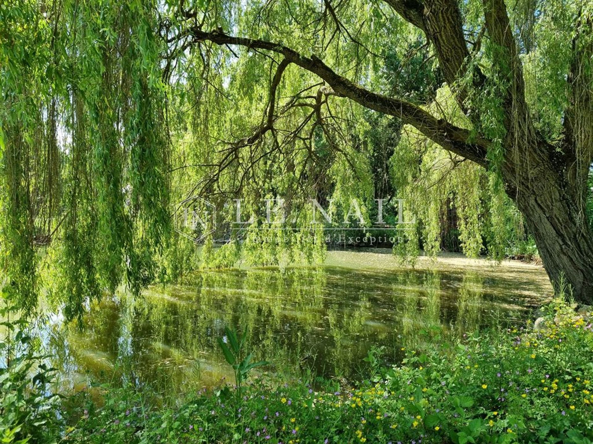 집 에 Vierzon, Centre-Val de Loire 11549565