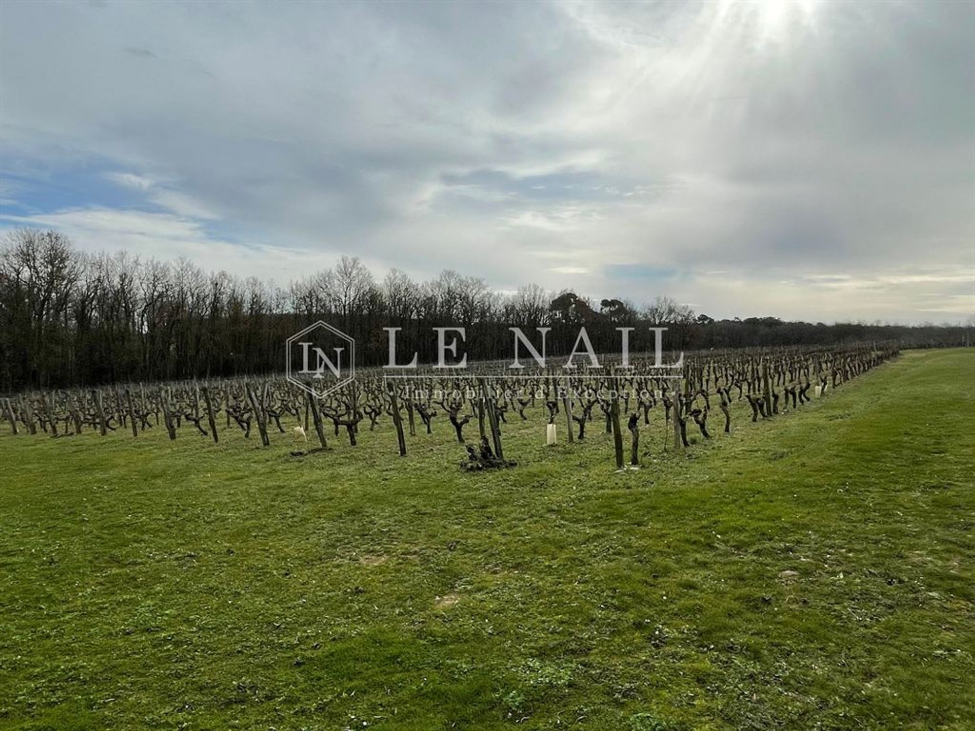 Casa nel , Nouvelle-Aquitaine 11549568