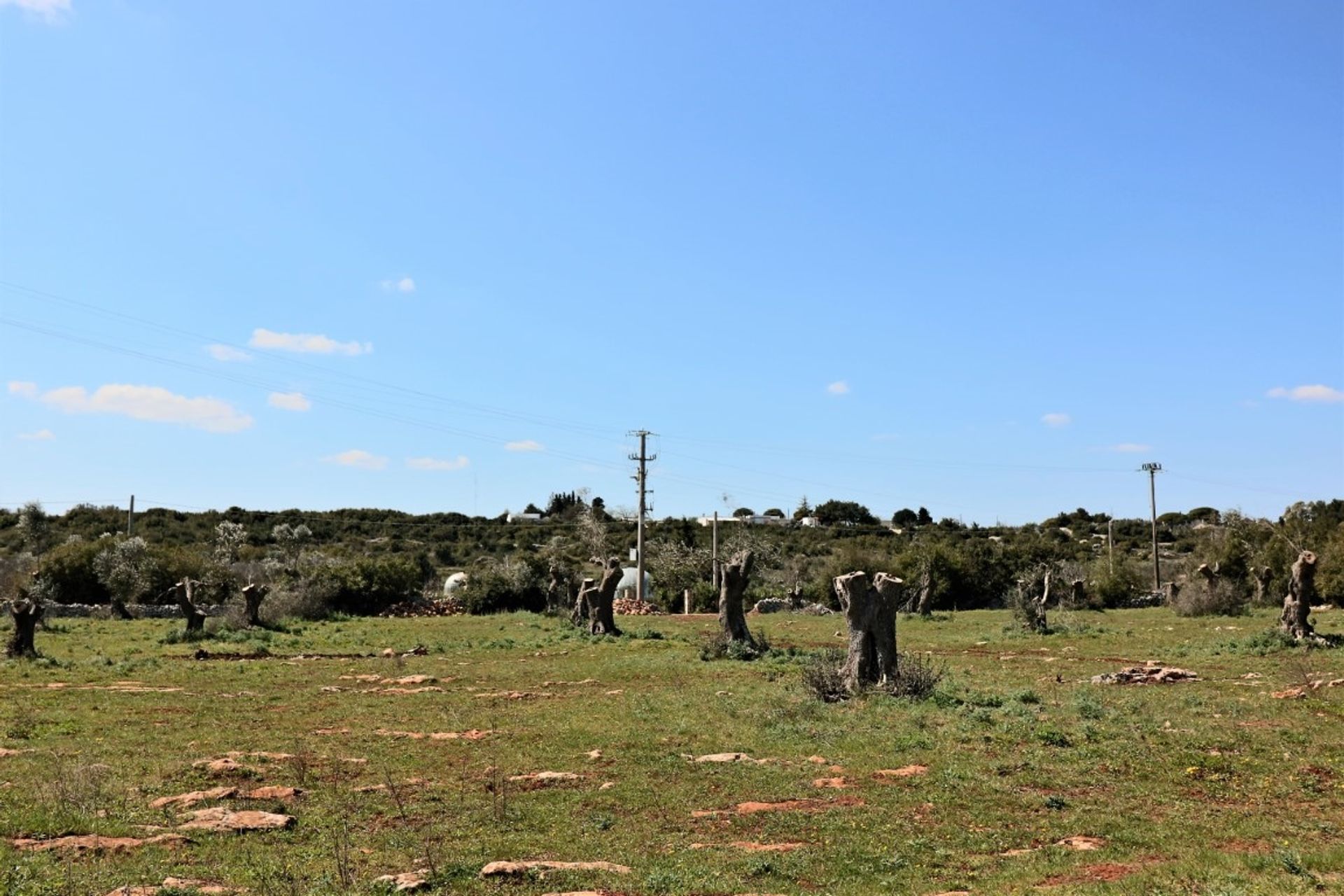 Земля в Ruffano, Apulia 11553220